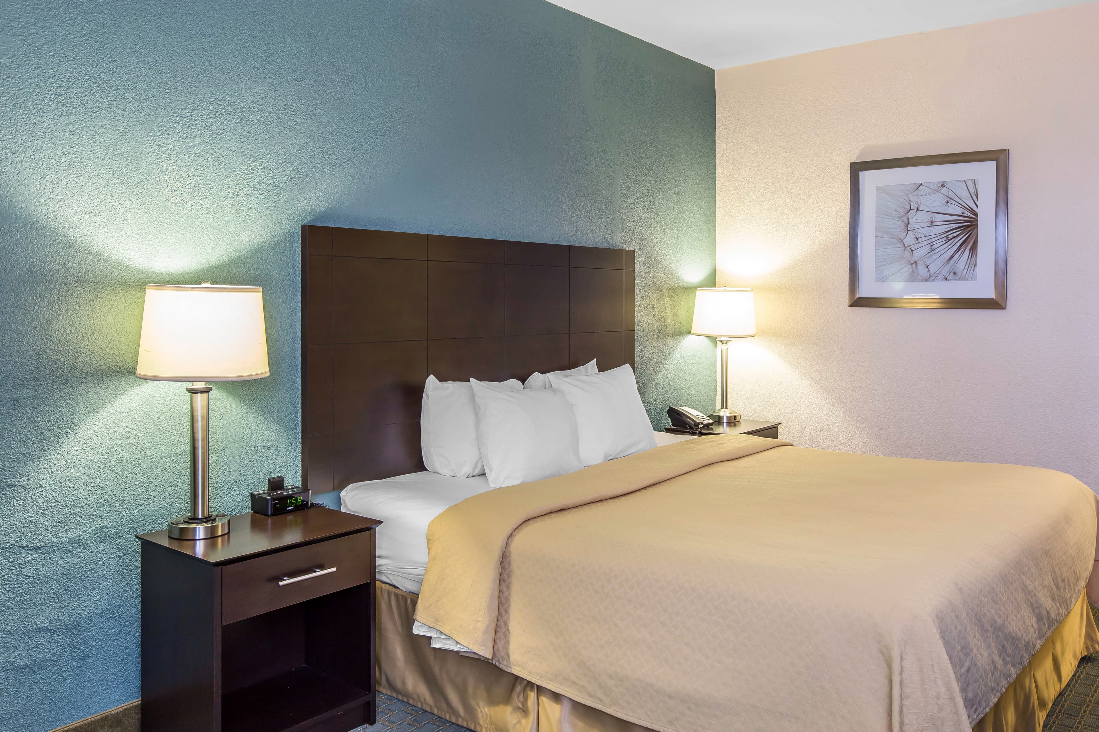 Quality Inn Fitzgerald - Image 5