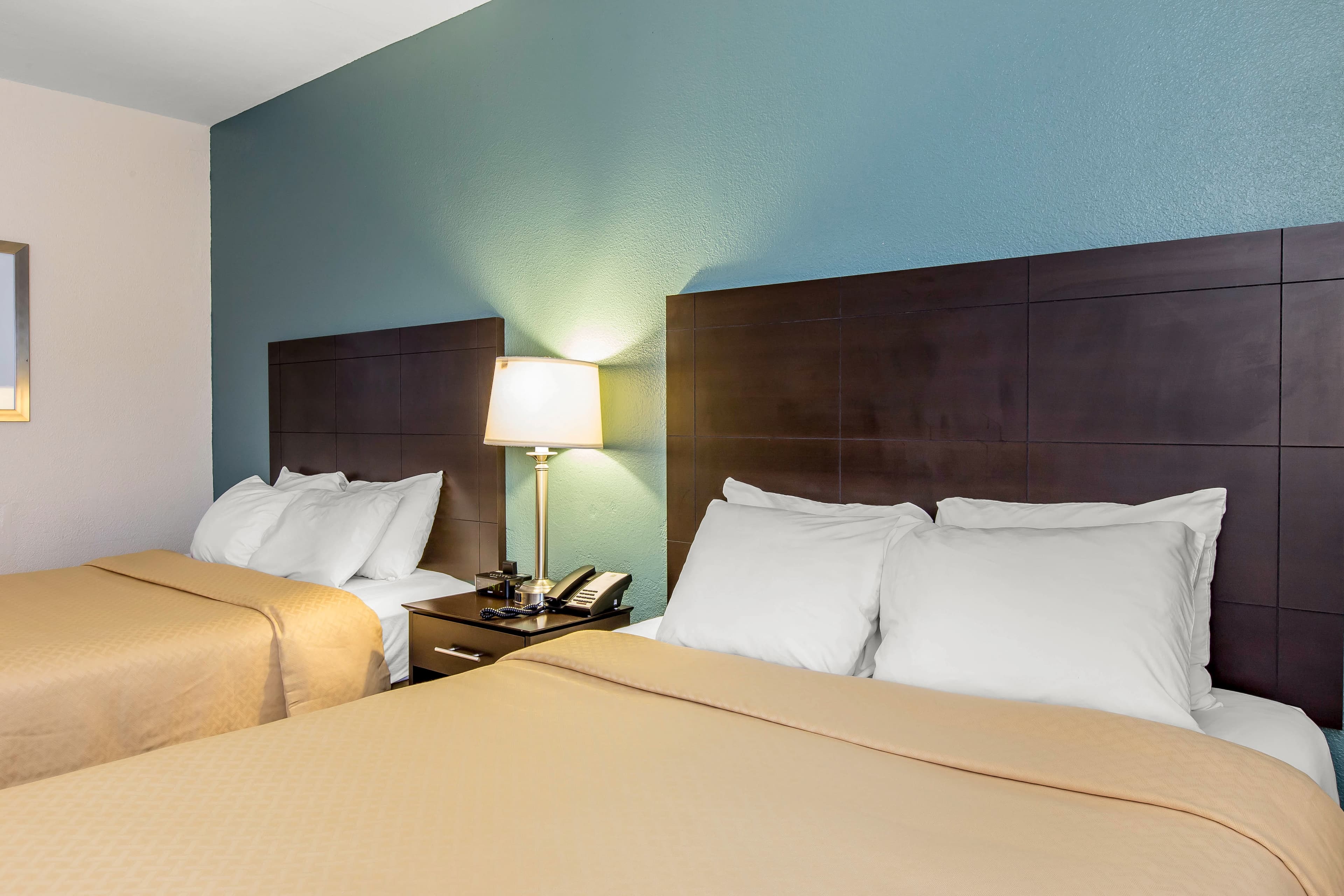 Quality Inn Fitzgerald — 24