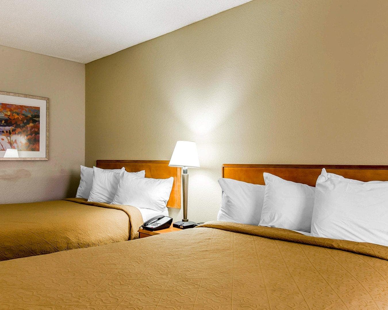Quality Inn At the Mall - Valdosta — 4