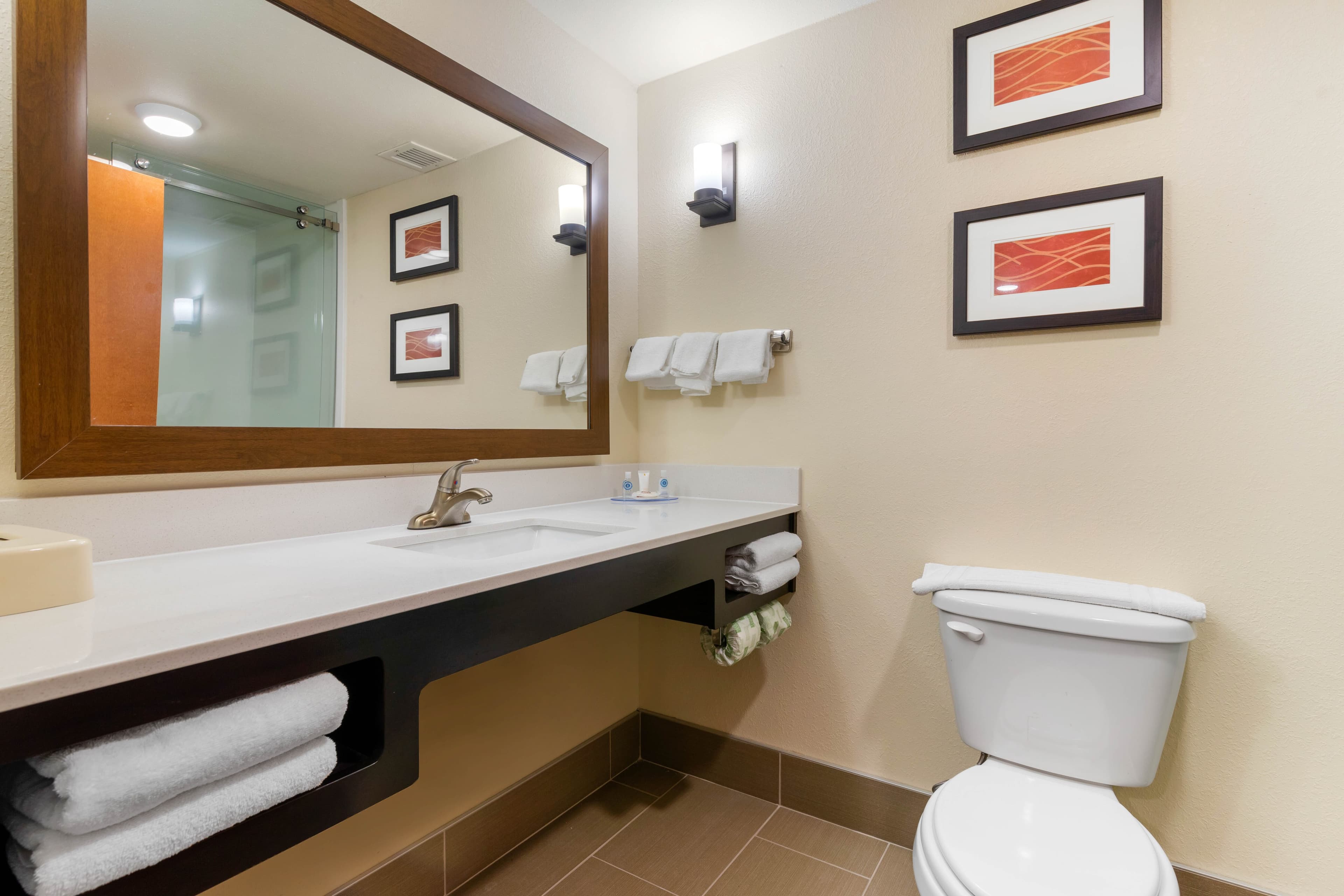 Comfort Inn & Suites Macon West — 13
