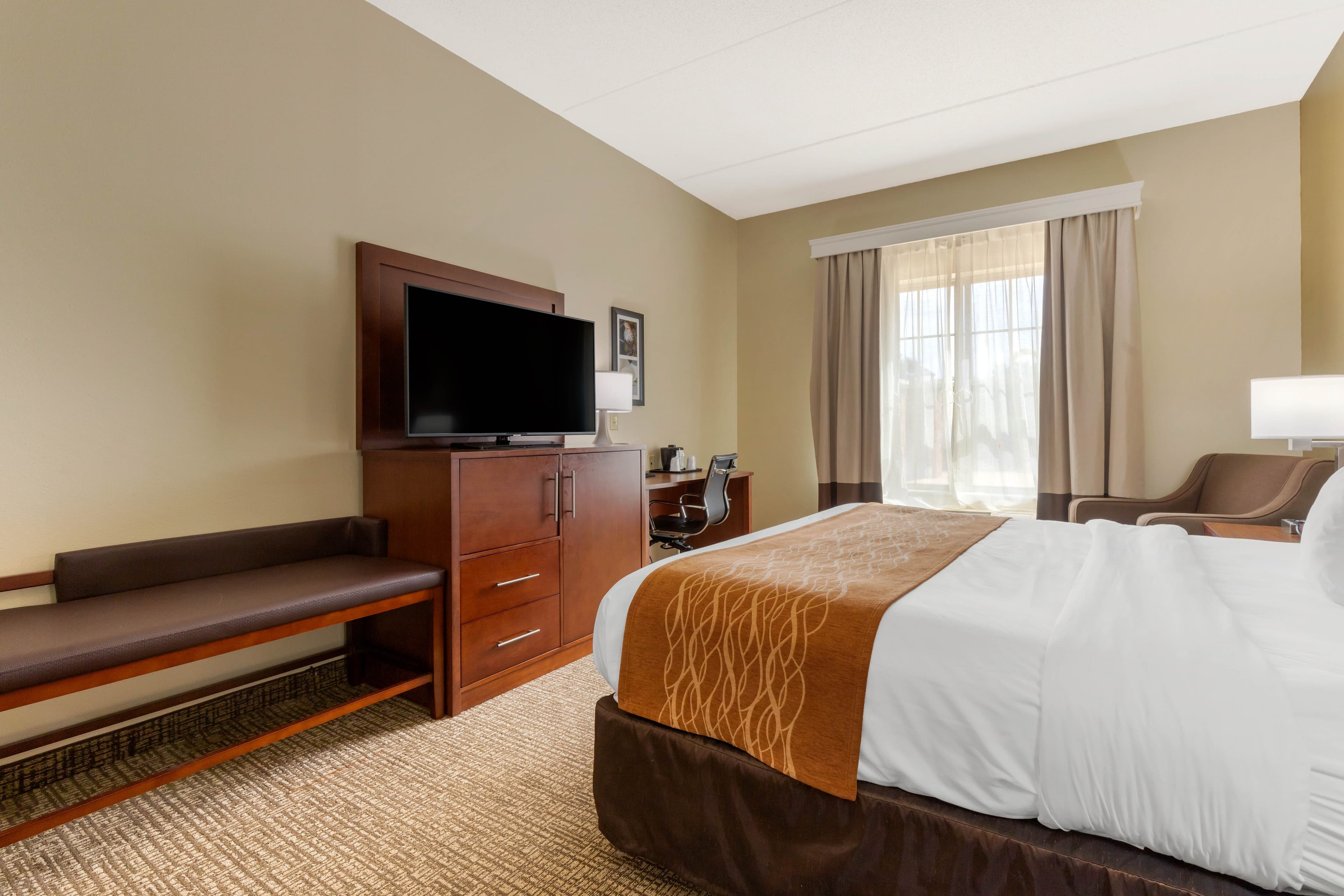 Comfort Inn & Suites Cordele - Image 3