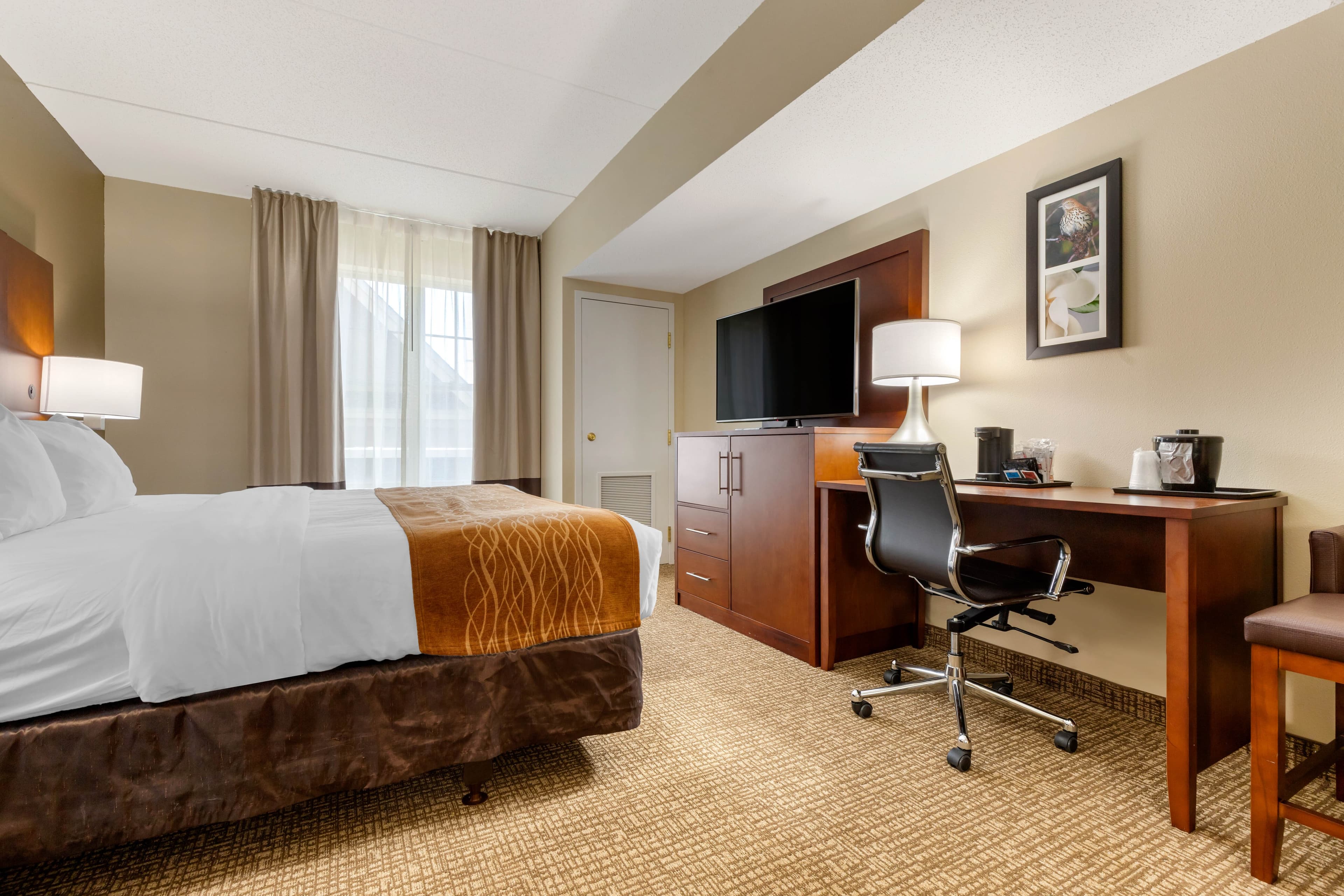 Comfort Inn & Suites Cordele — 23