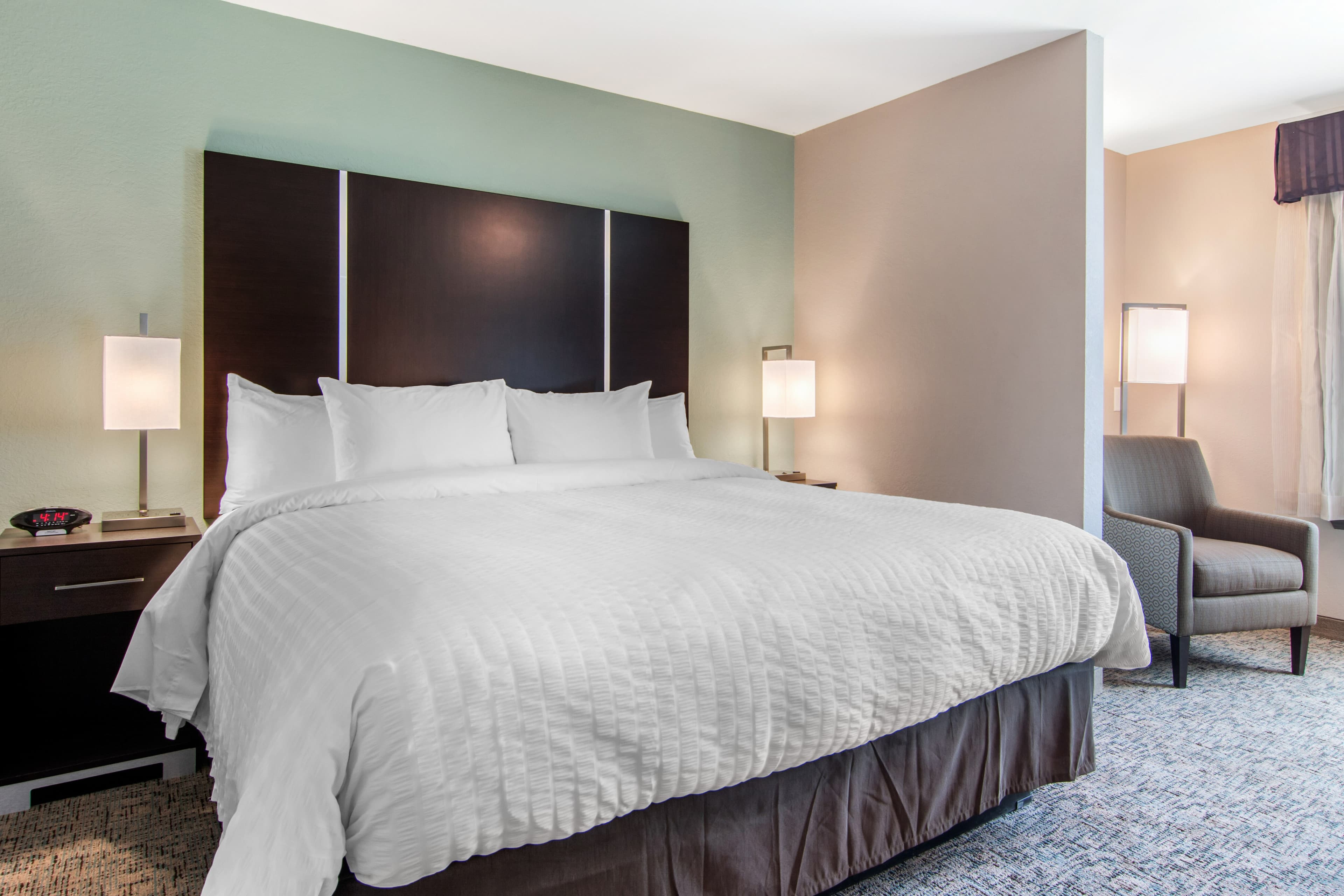 Clarion Inn & Suites Atlanta Downtown - Image 2