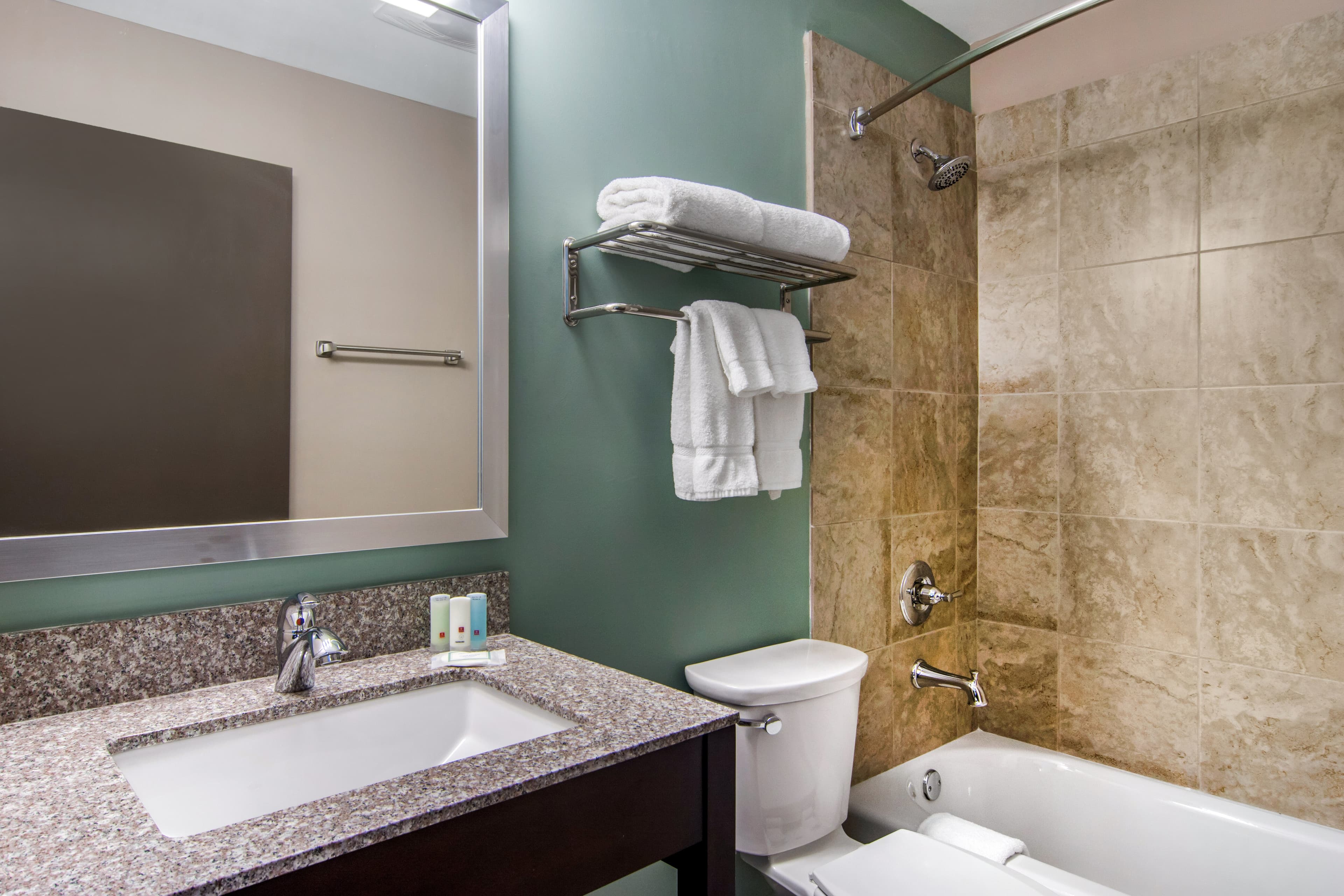 Clarion Inn & Suites Atlanta Downtown — 26