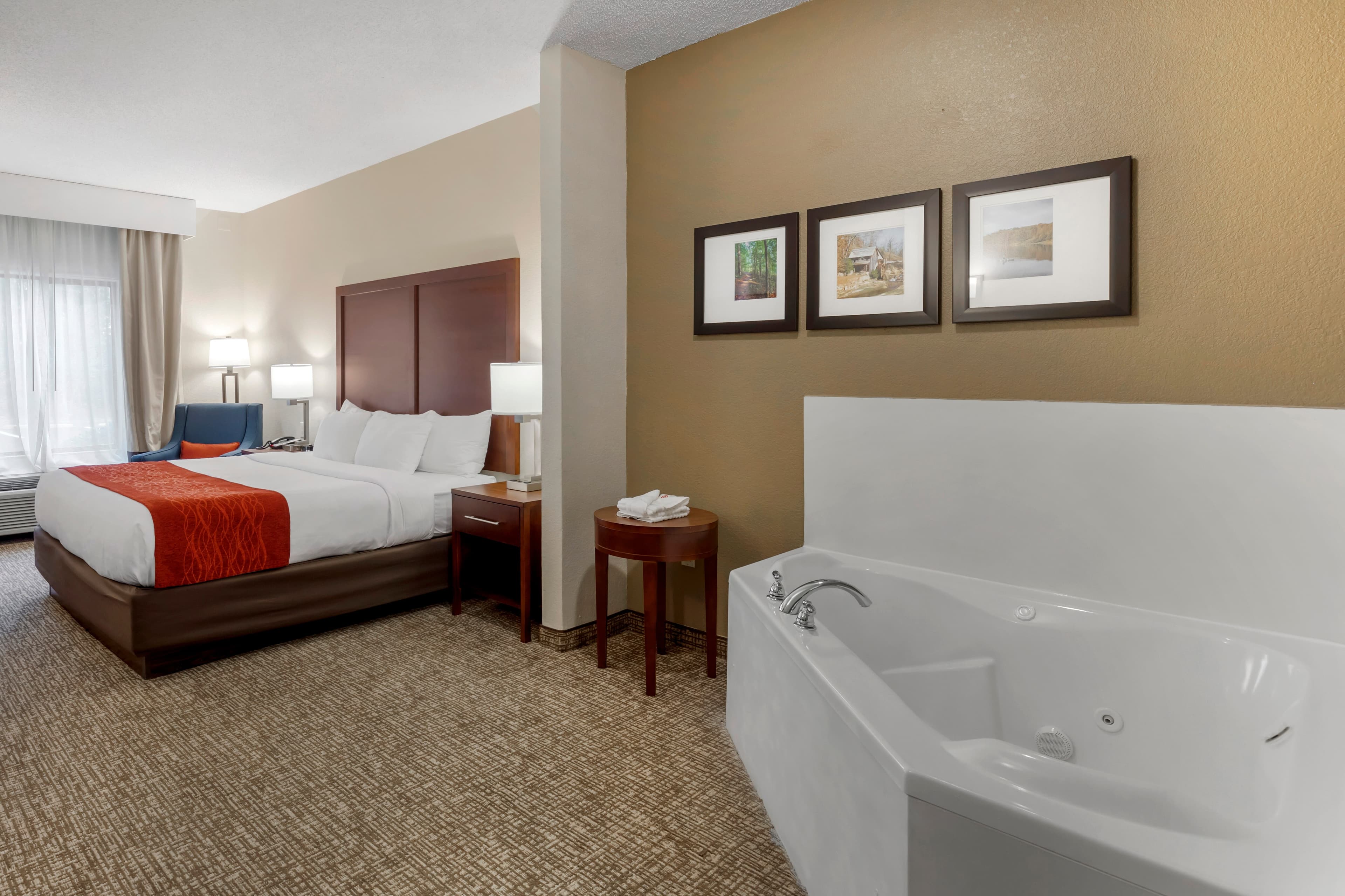 Comfort Inn & Suites Canton Riverstone Area — 17