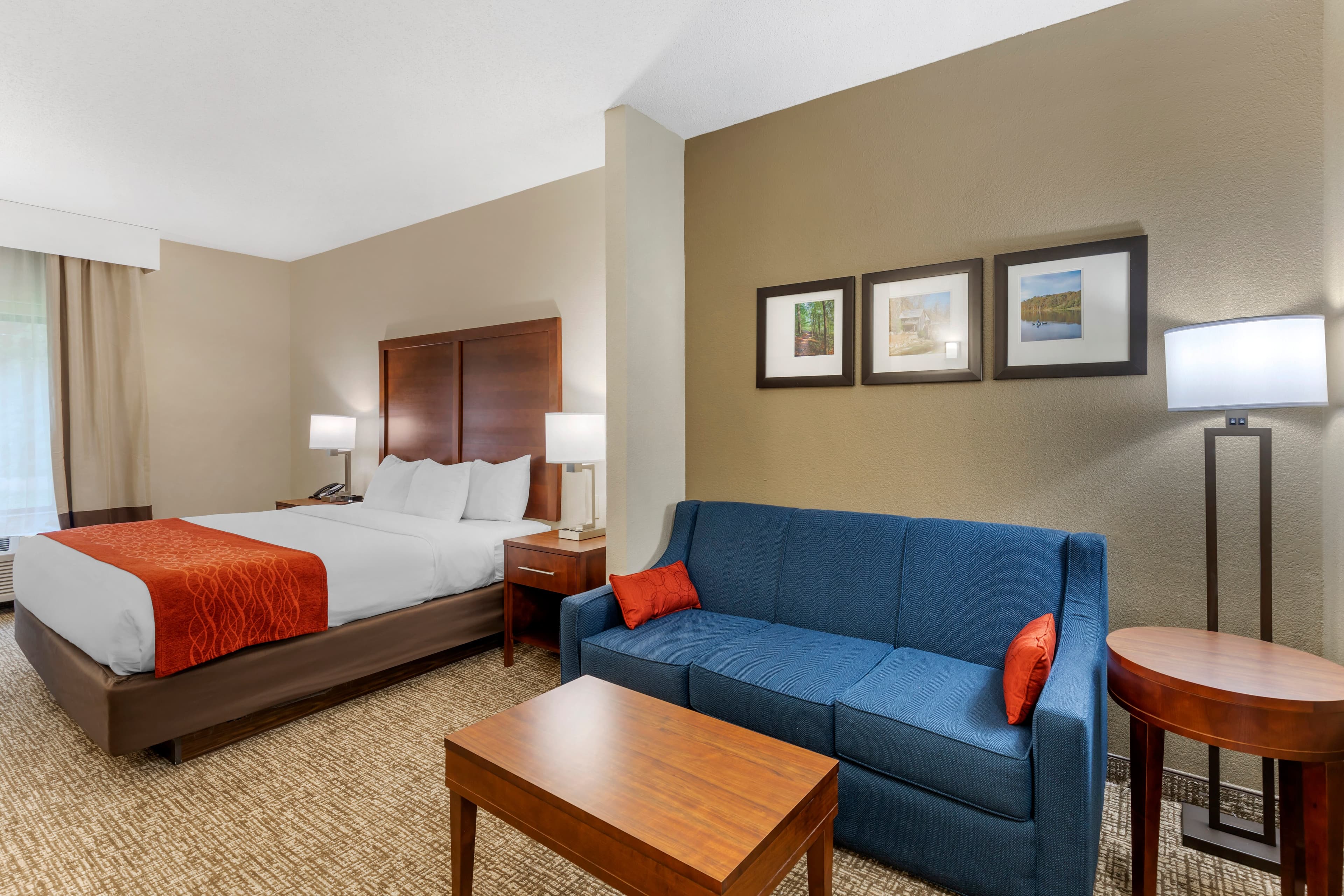 Comfort Inn & Suites Canton Riverstone Area — 33