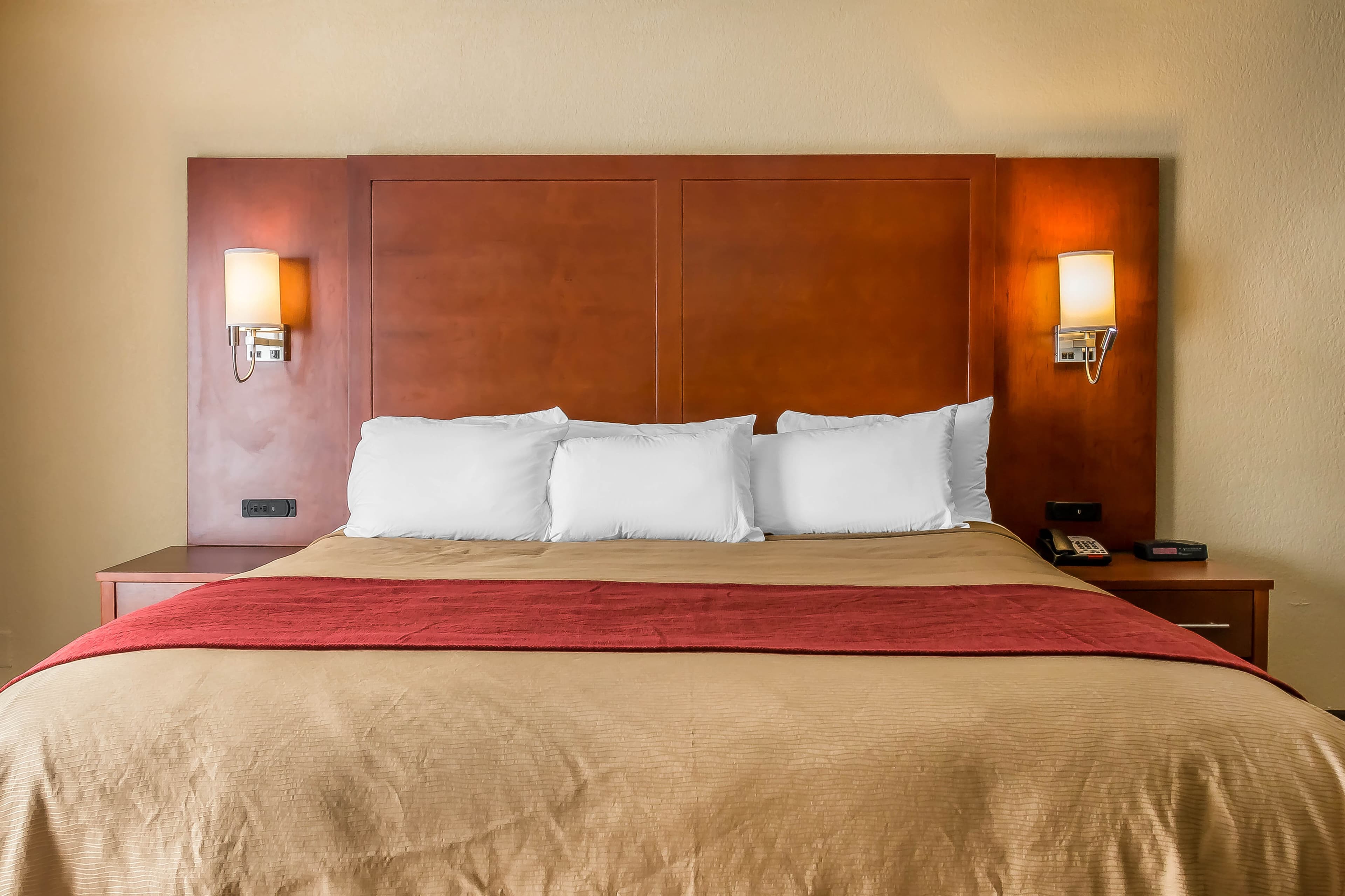 Comfort Inn Savannah Midtown - Image 3