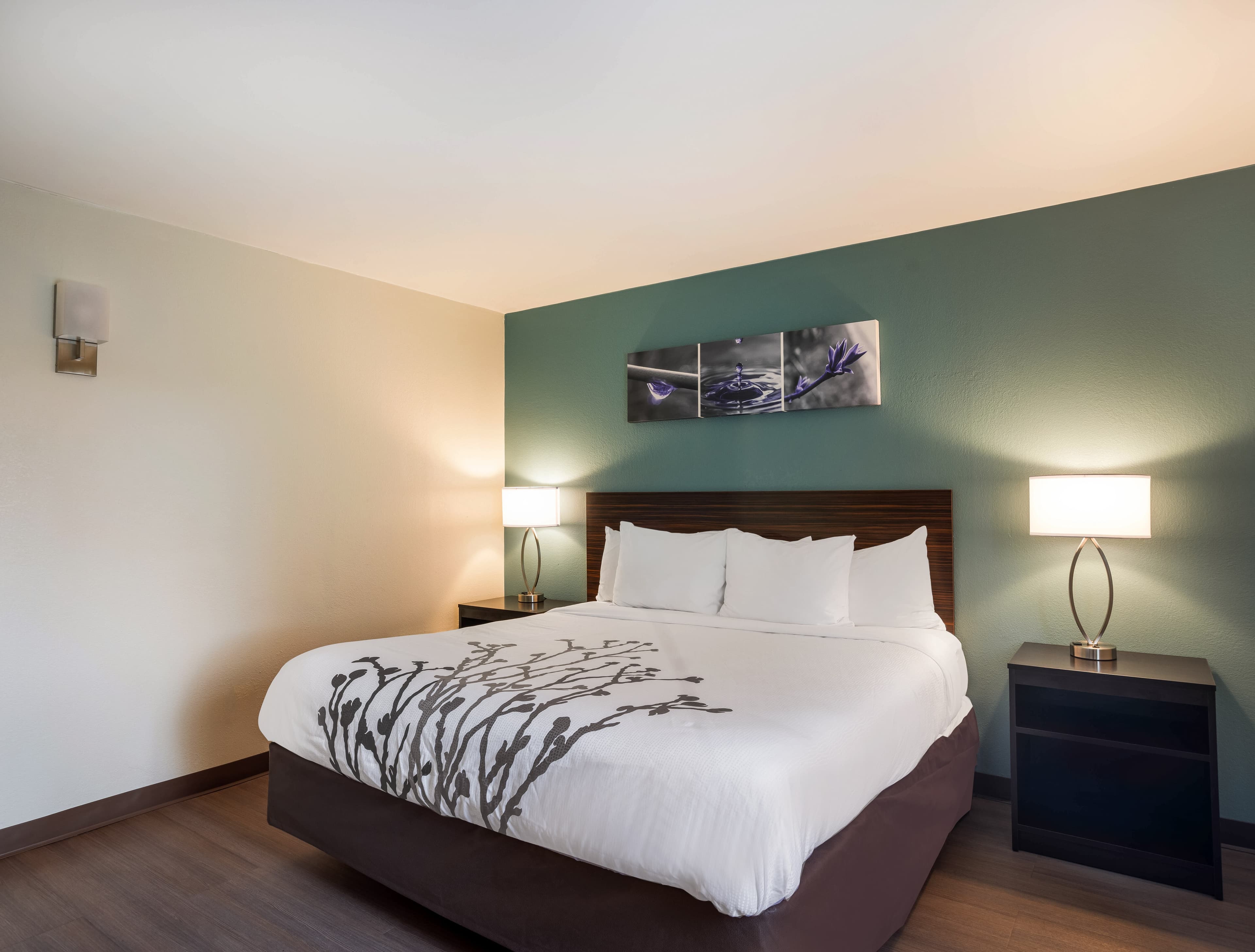 Sleep Inn Savannah Midtown - Image 3