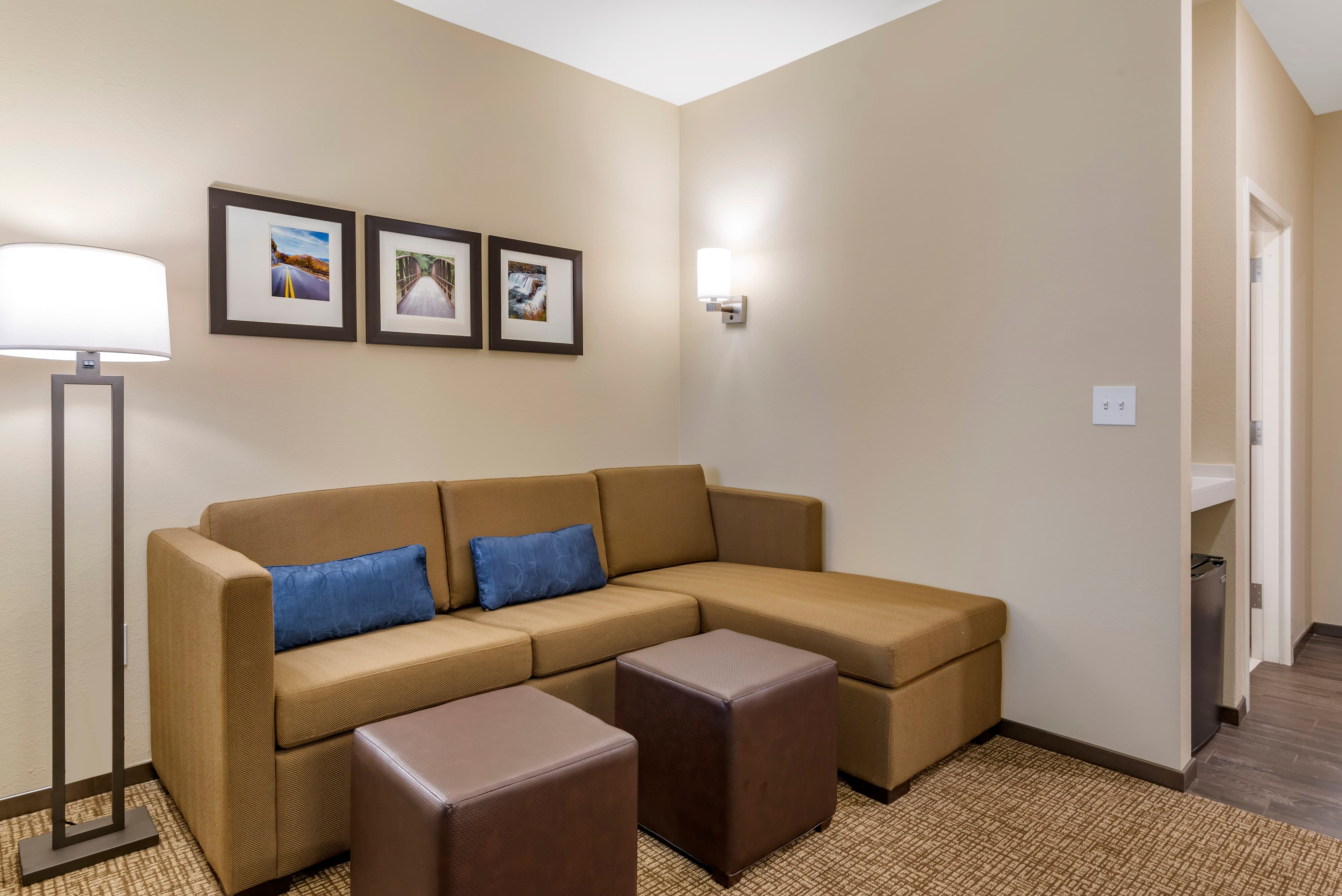 Comfort Suites Newnan — 28