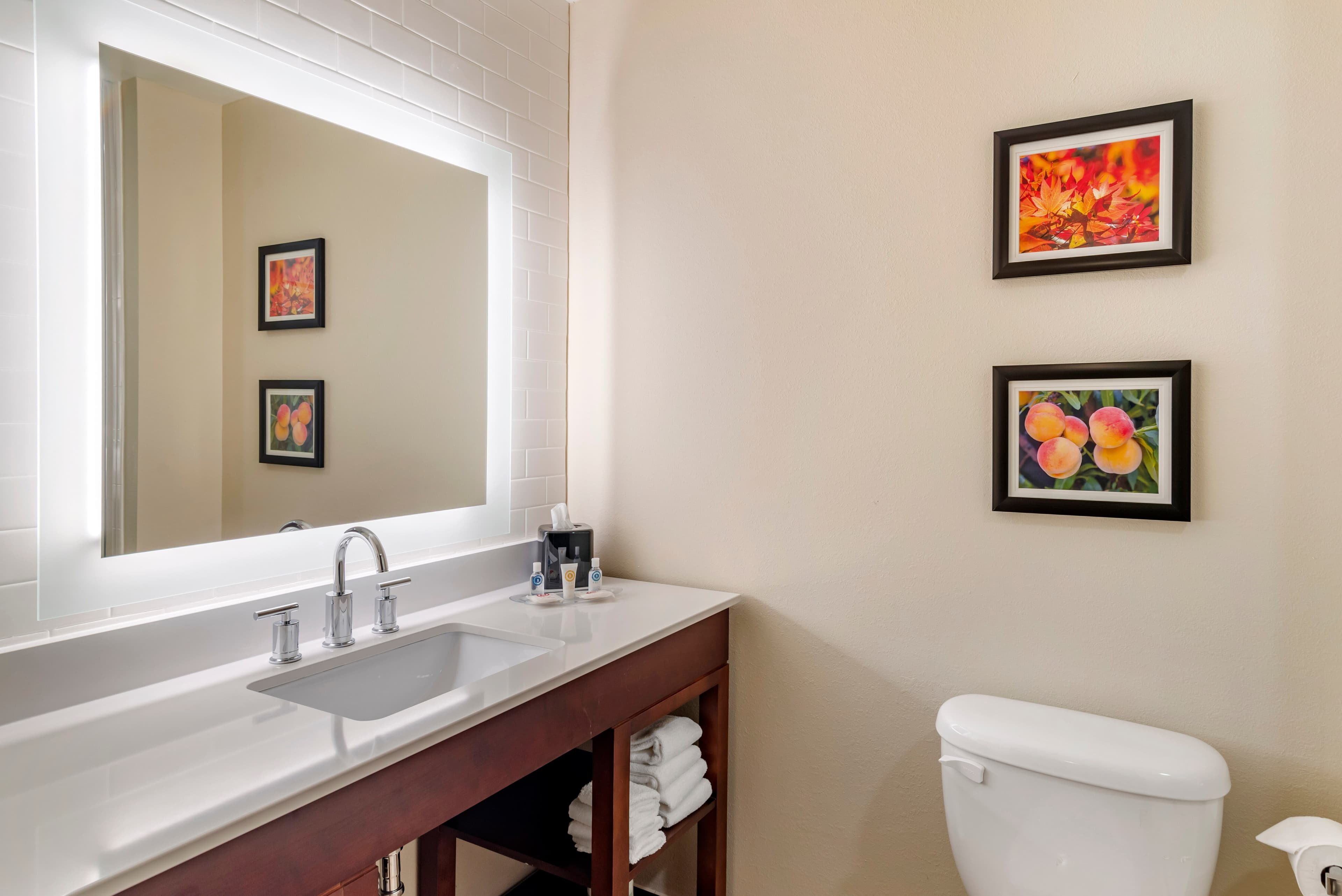 Comfort Suites Newnan — 29