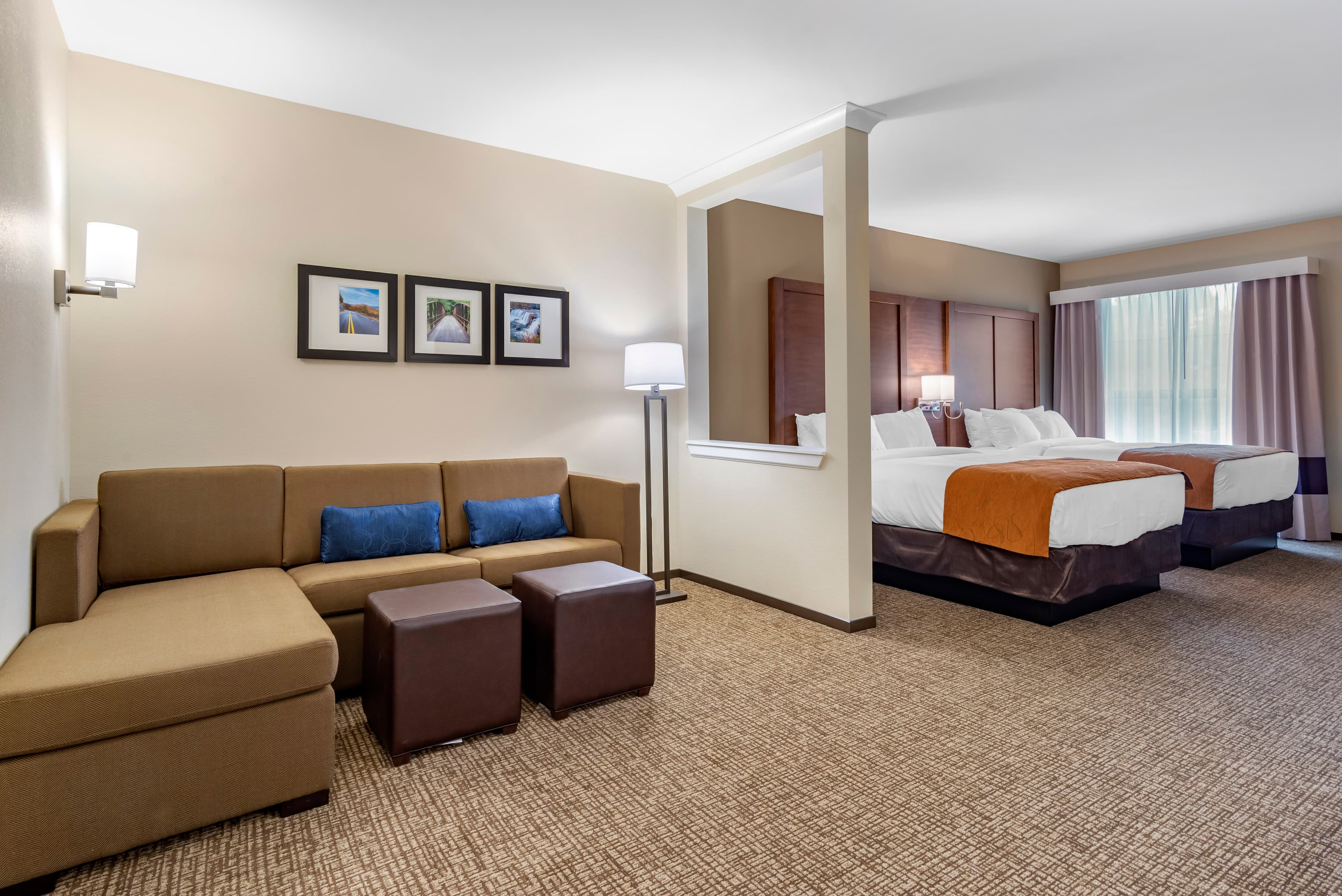 Comfort Suites Newnan — 30