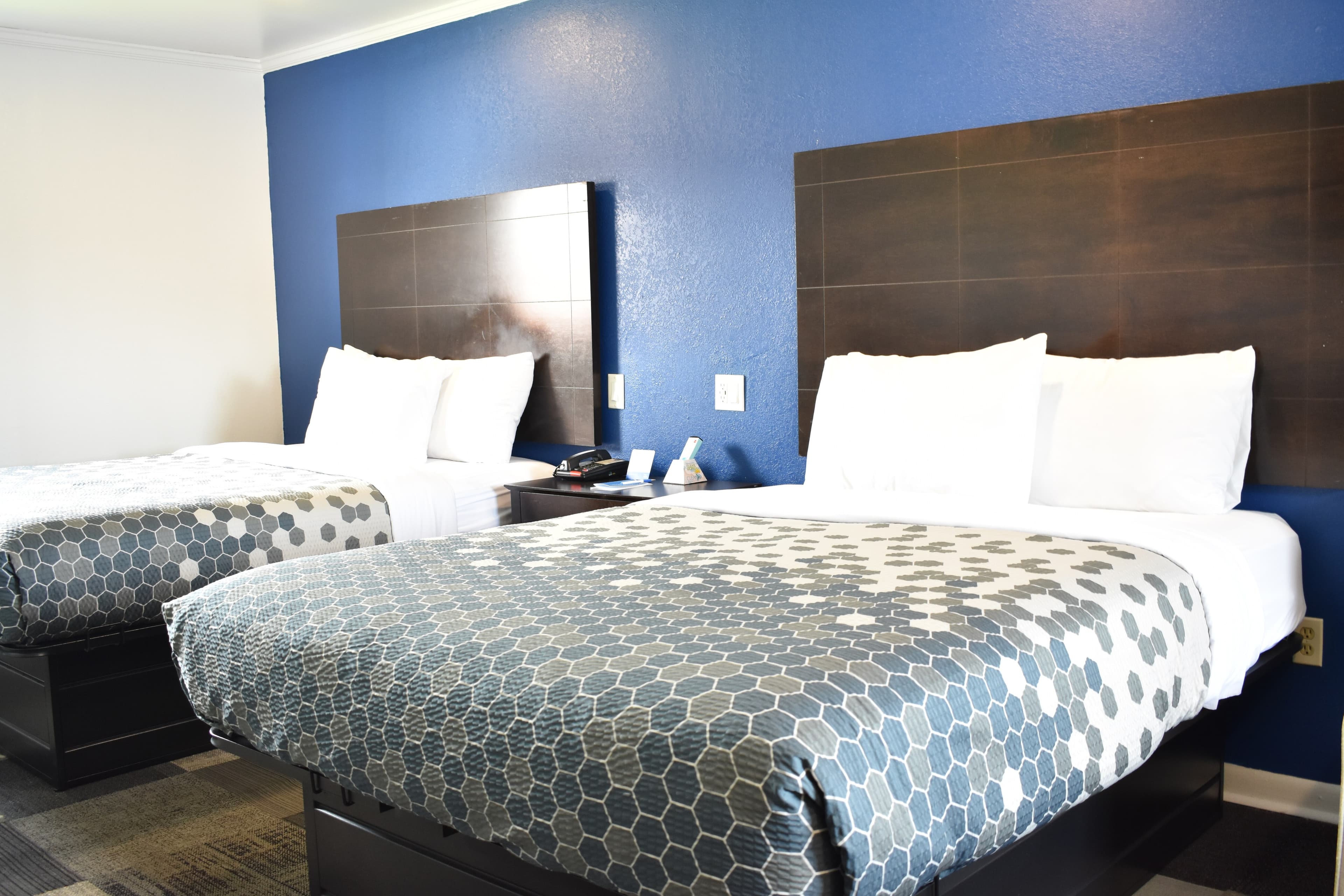 Rodeway Inn Swainsboro — 20