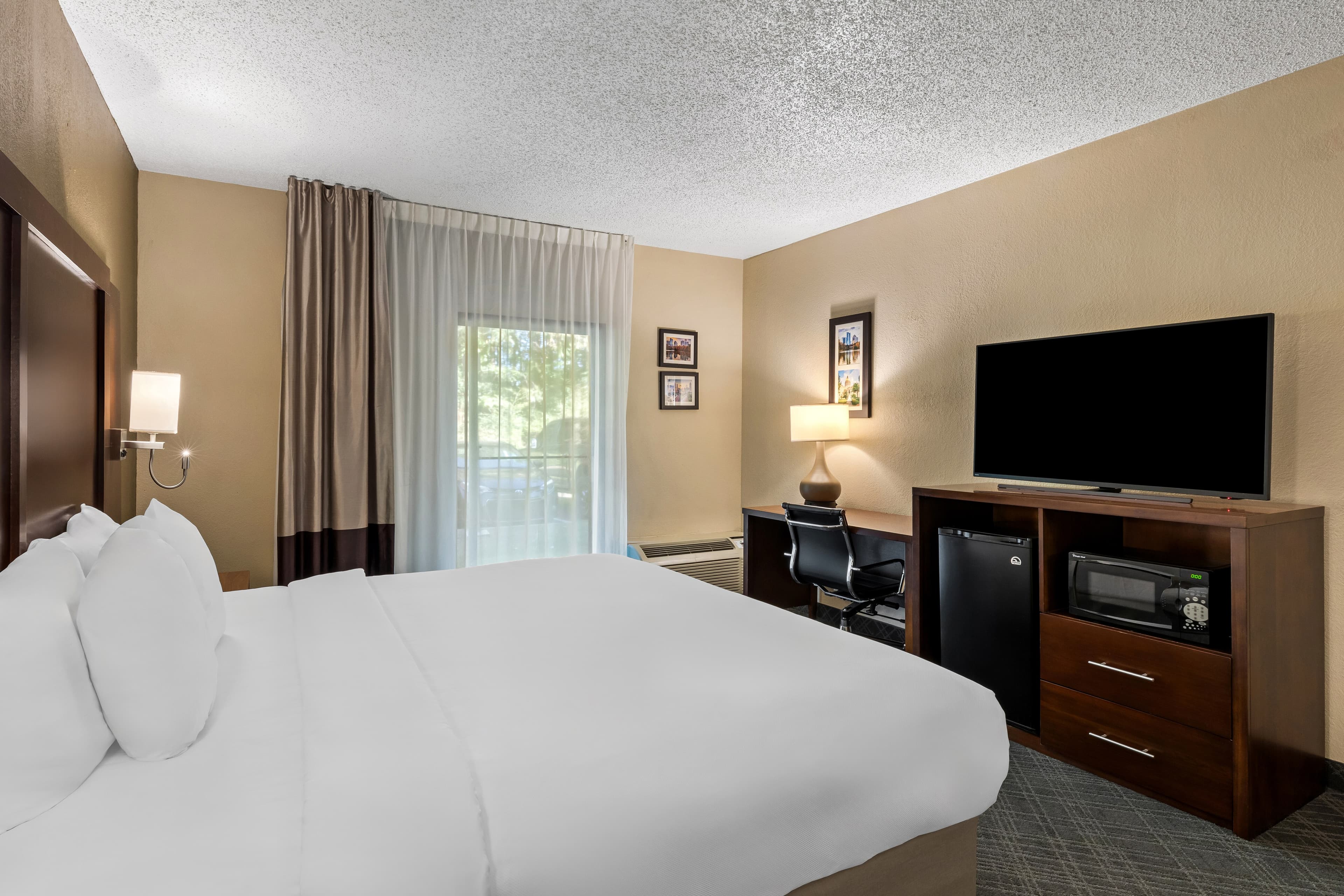 Comfort Inn Roswell-Dunwoody - Image 3