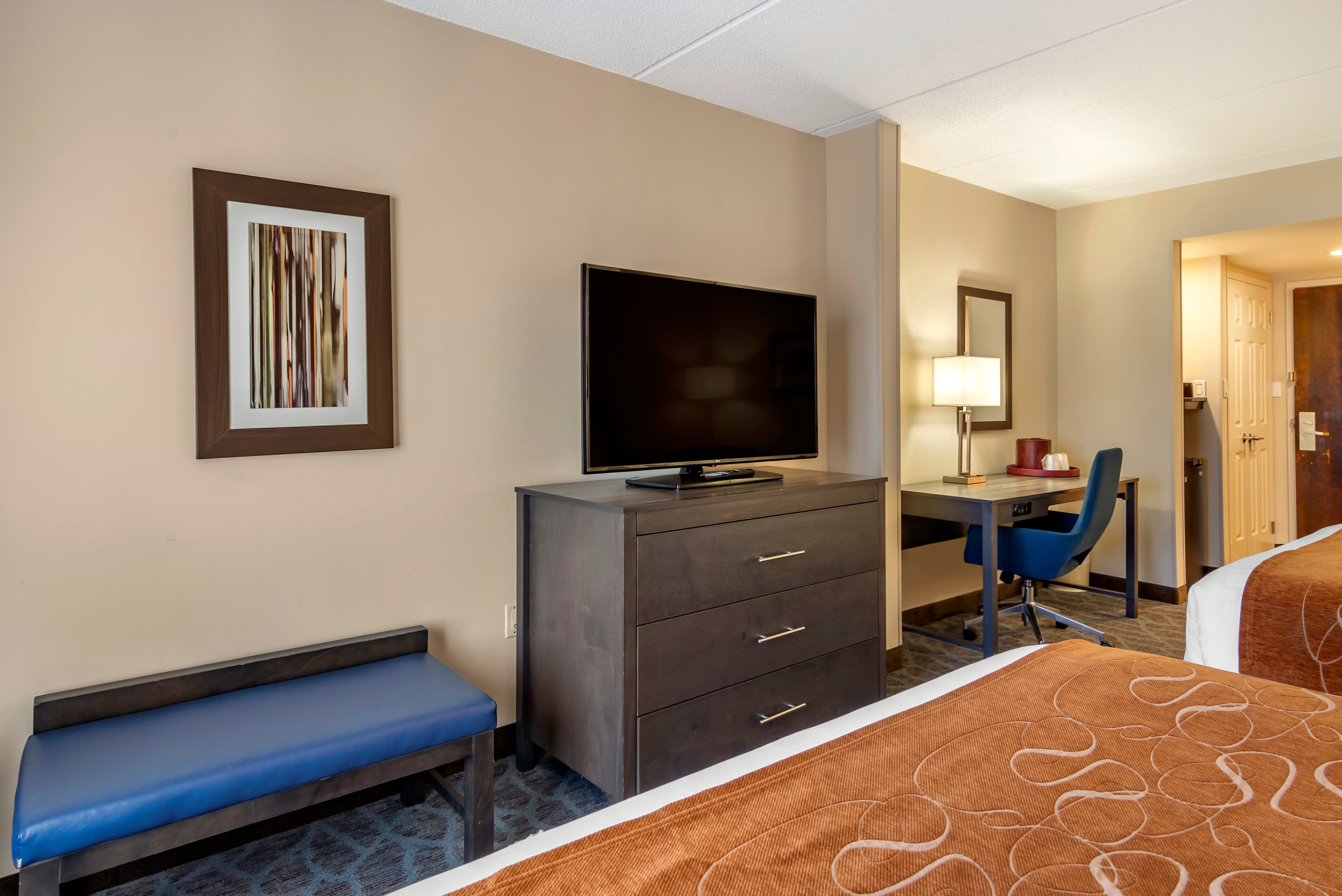 Comfort Suites Alpharetta/Roswell - Atlanta Area — 9