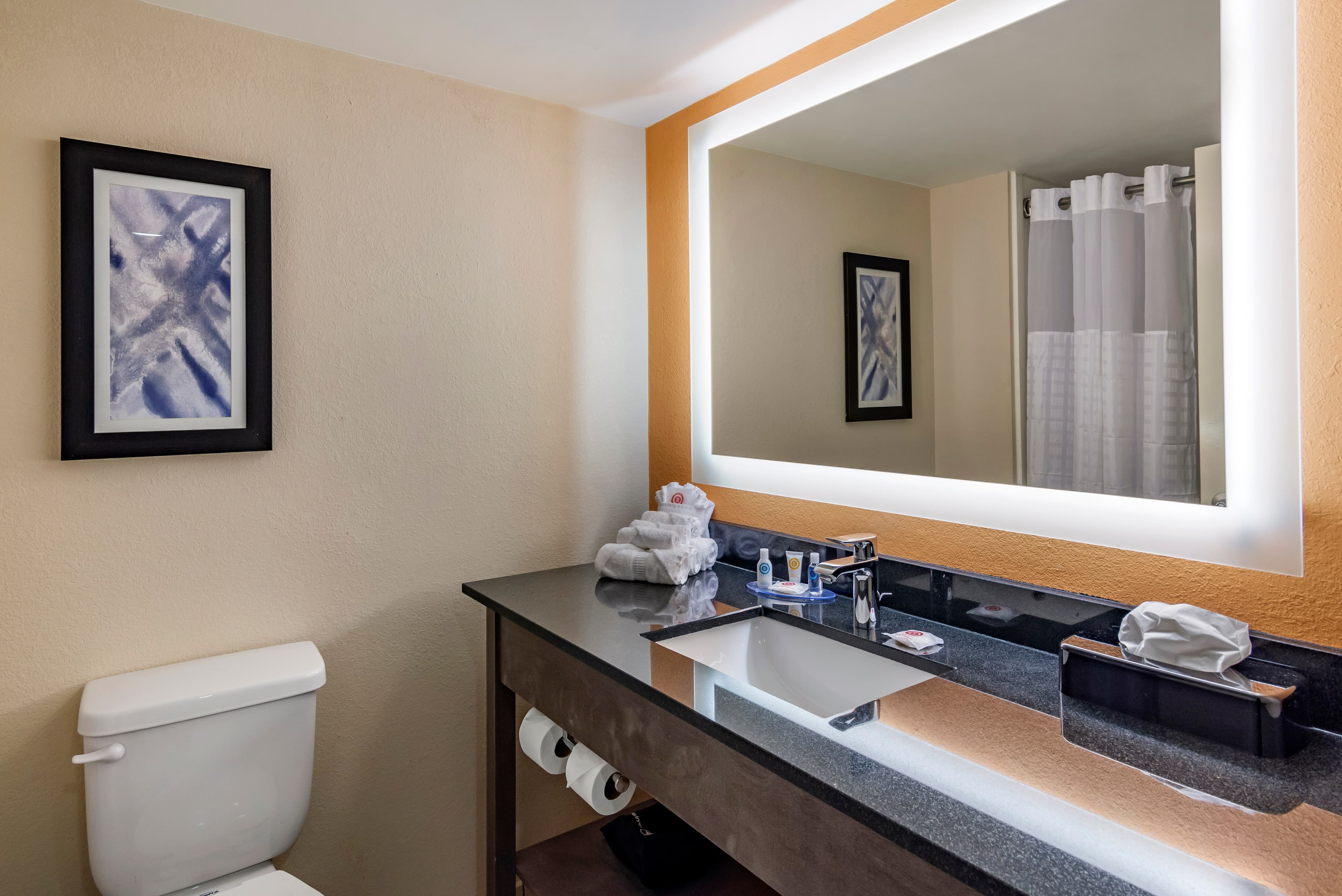 Comfort Suites Alpharetta/Roswell - Atlanta Area — 24