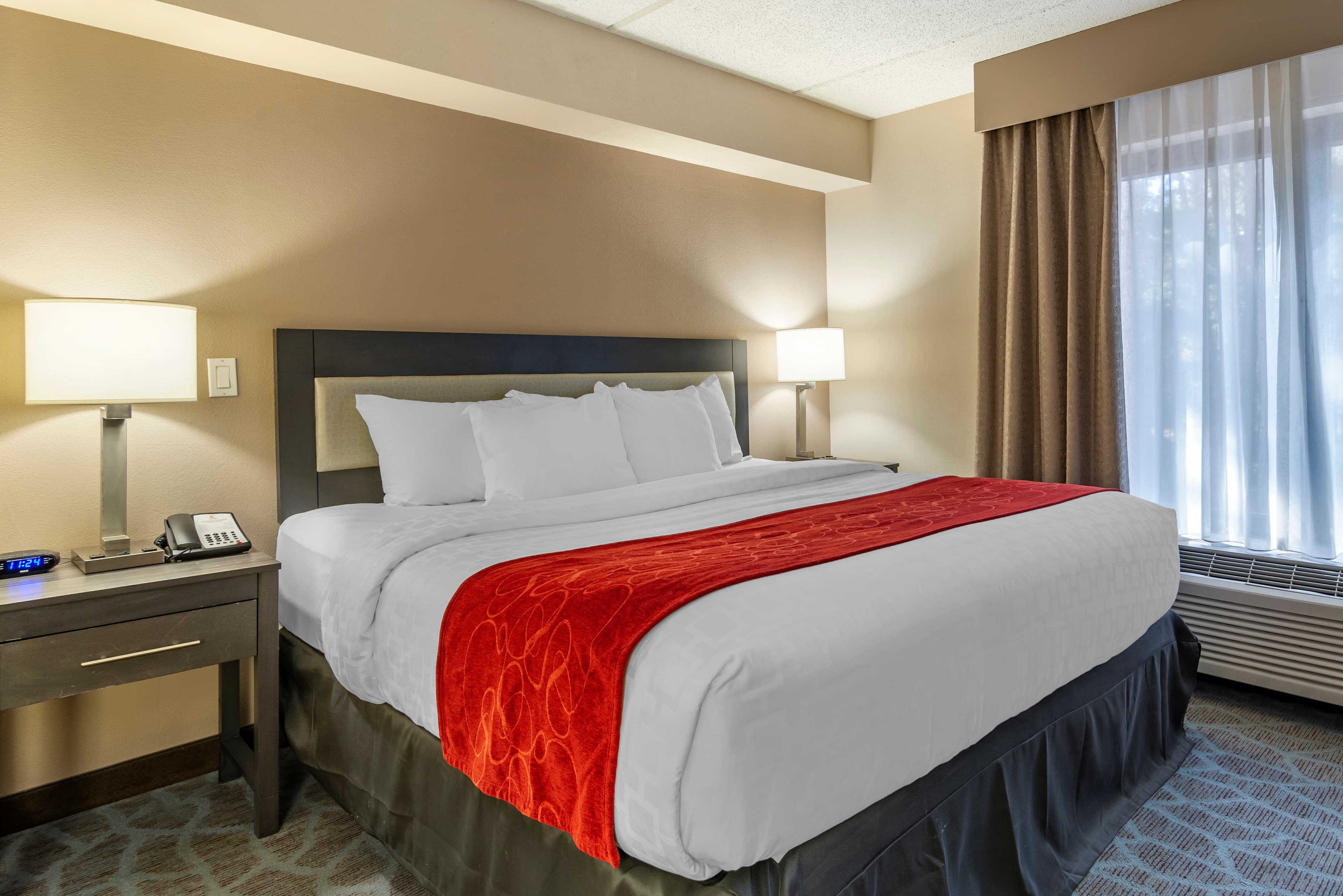 Comfort Suites Alpharetta/Roswell - Atlanta Area - Image 2