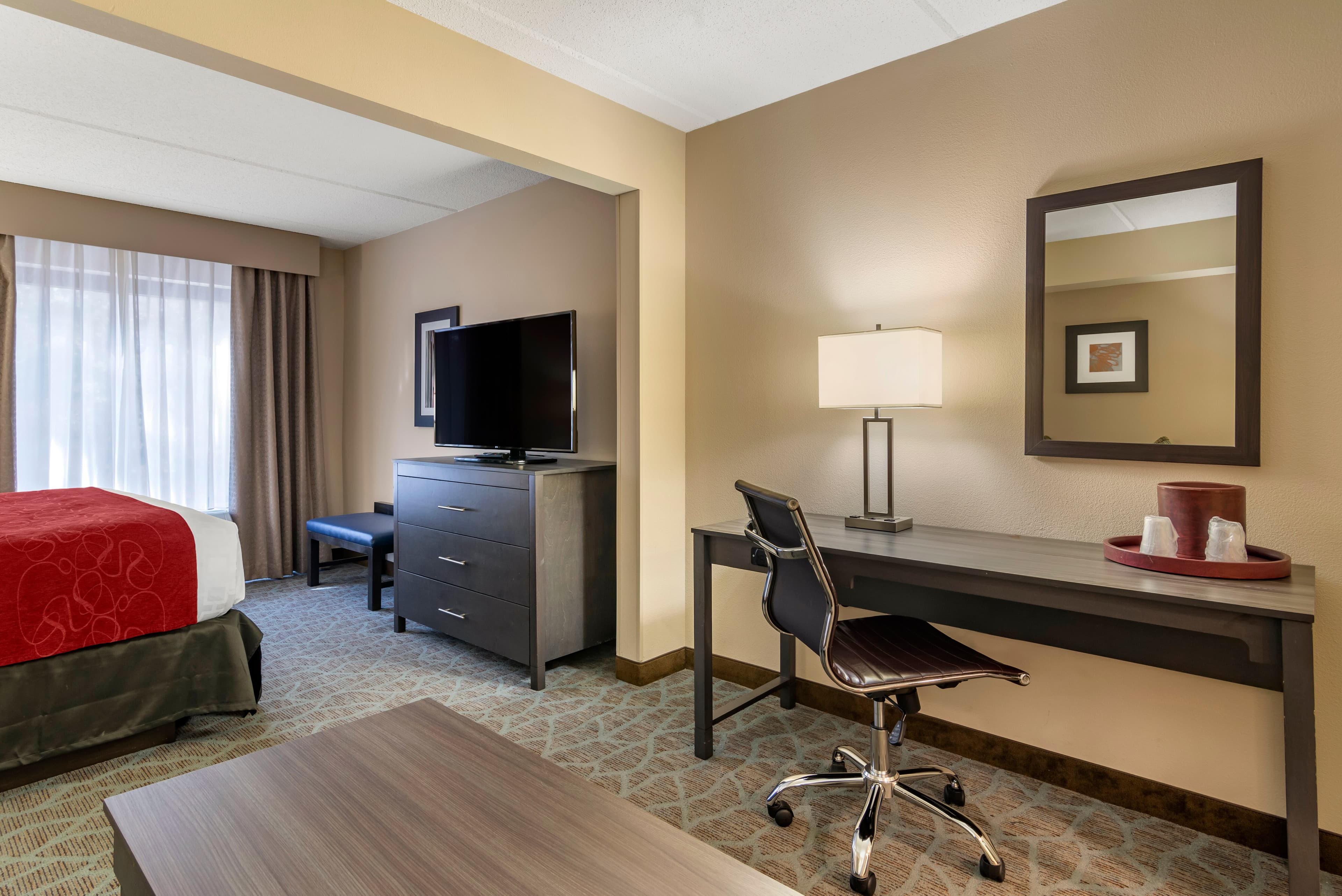 Comfort Suites Alpharetta/Roswell - Atlanta Area - Image 4