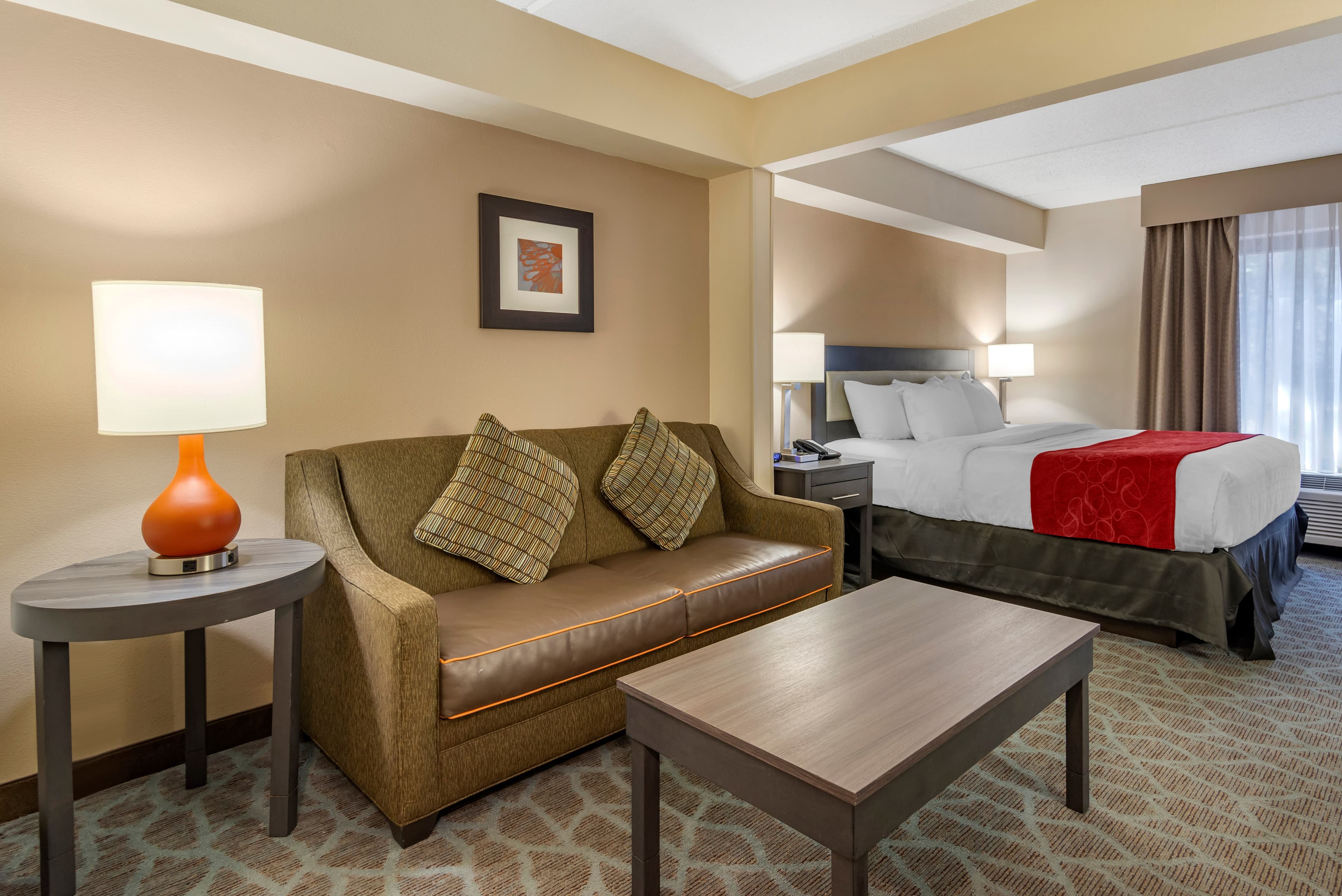 Comfort Suites Alpharetta/Roswell - Atlanta Area - Image 5
