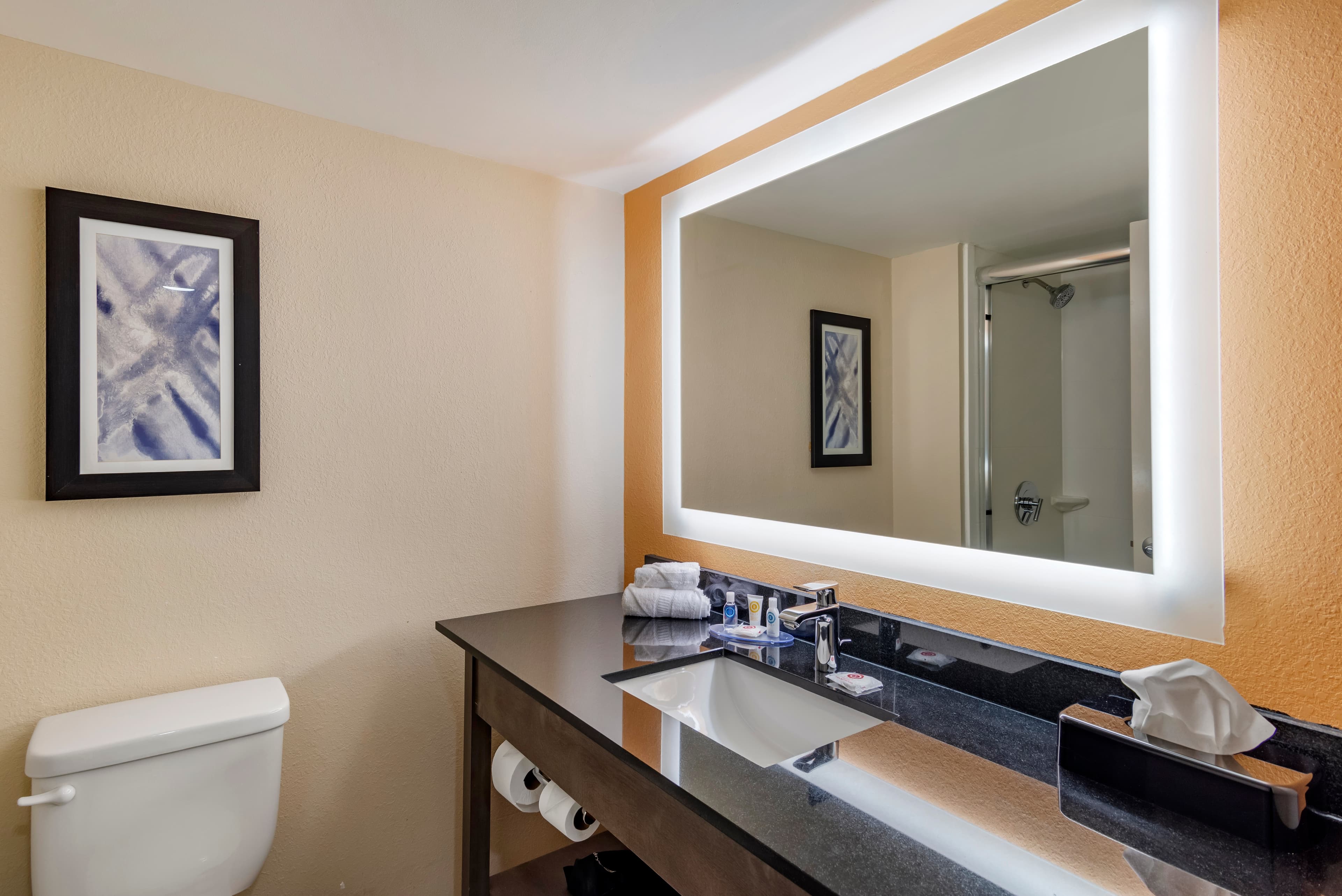 Comfort Suites Alpharetta/Roswell - Atlanta Area — 7