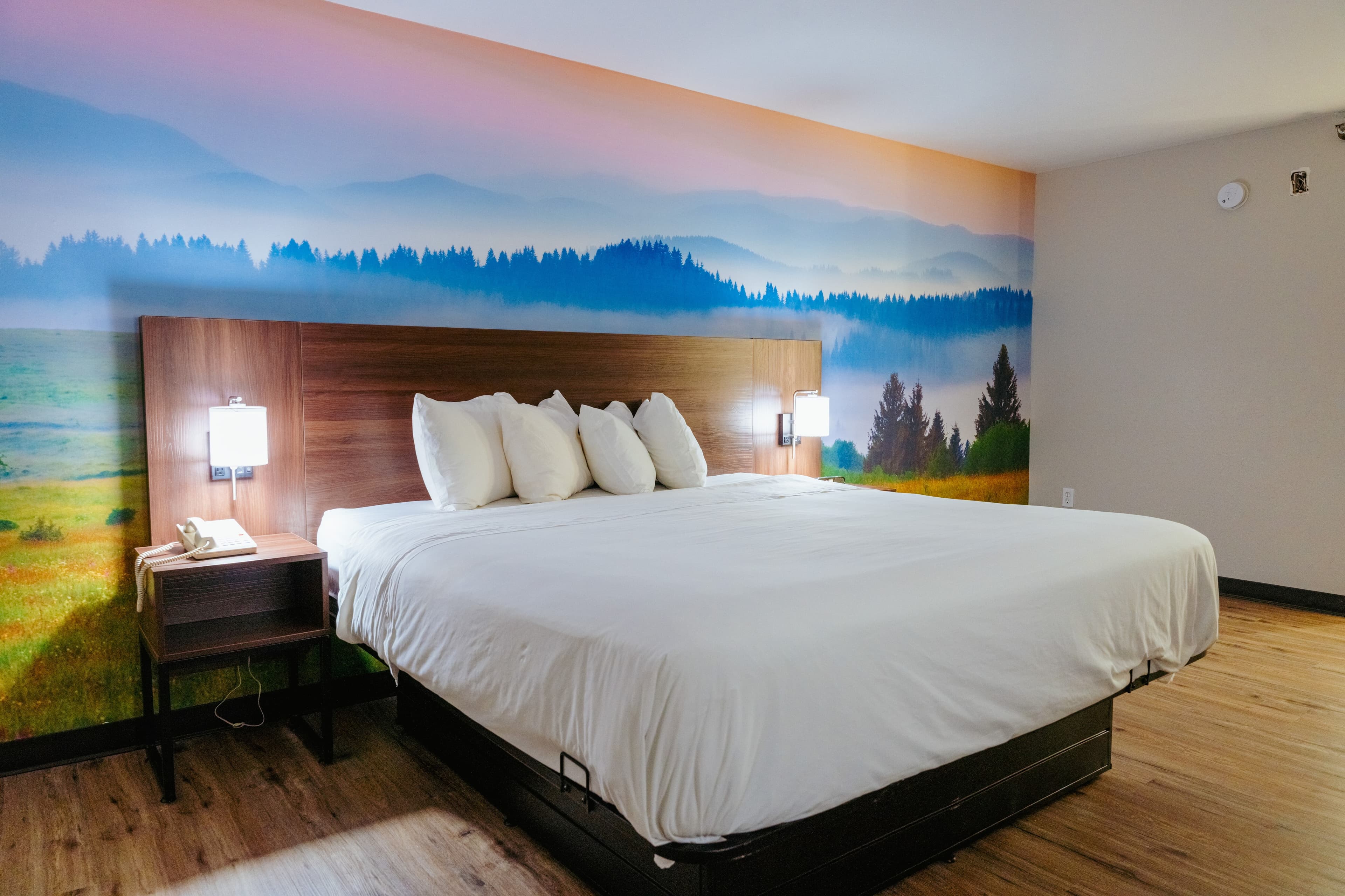 Clarion Pointe-Dillard near Blue Ridge Mountains — 12