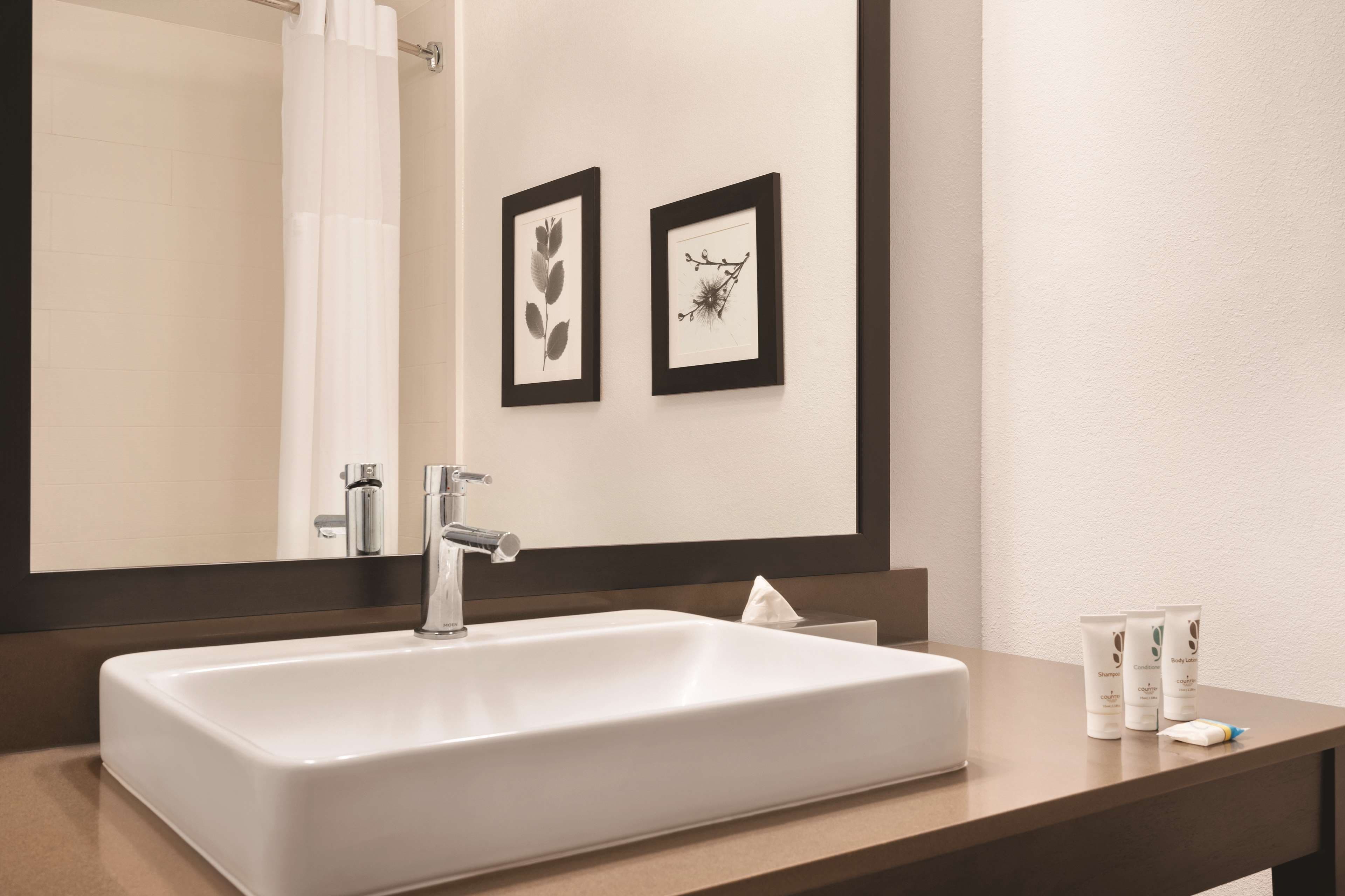 Country Inn & Suites by Radisson, Savannah Midtown, GA - Image 4