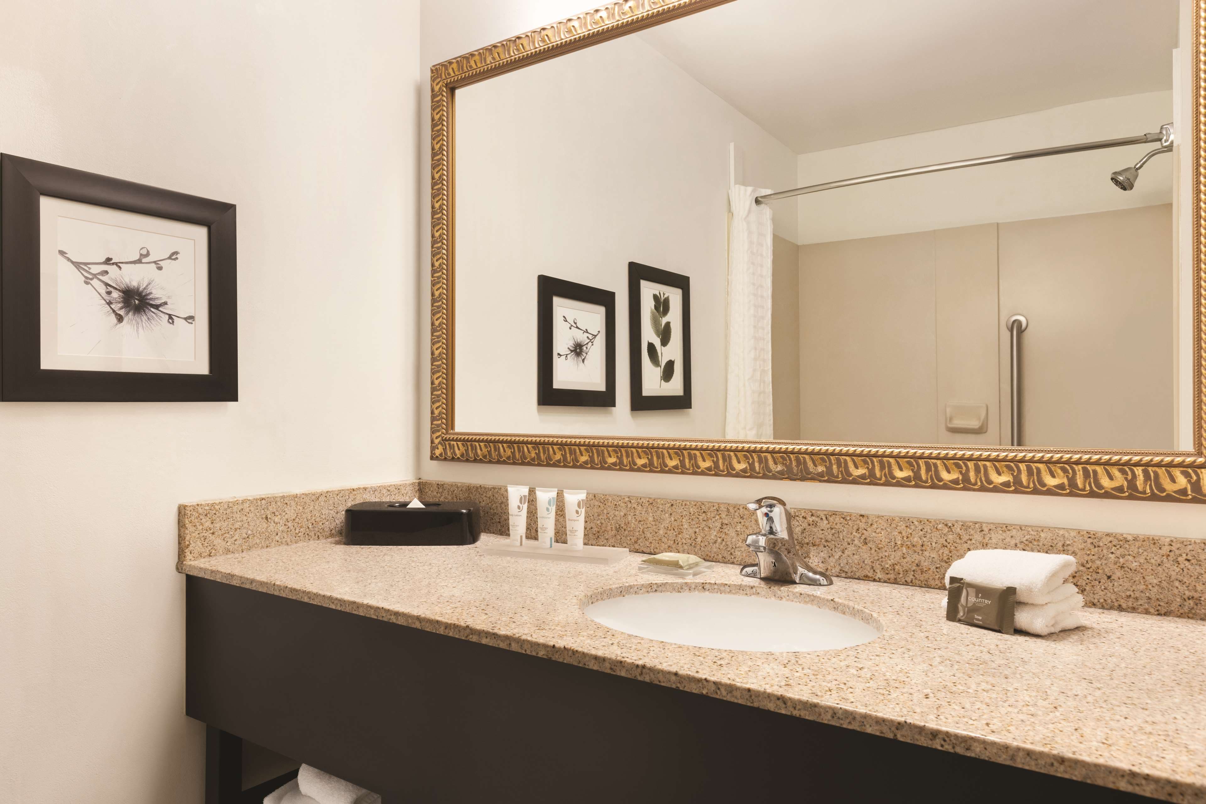 Country Inn & Suites by Radisson, Conyers, GA - Image 3