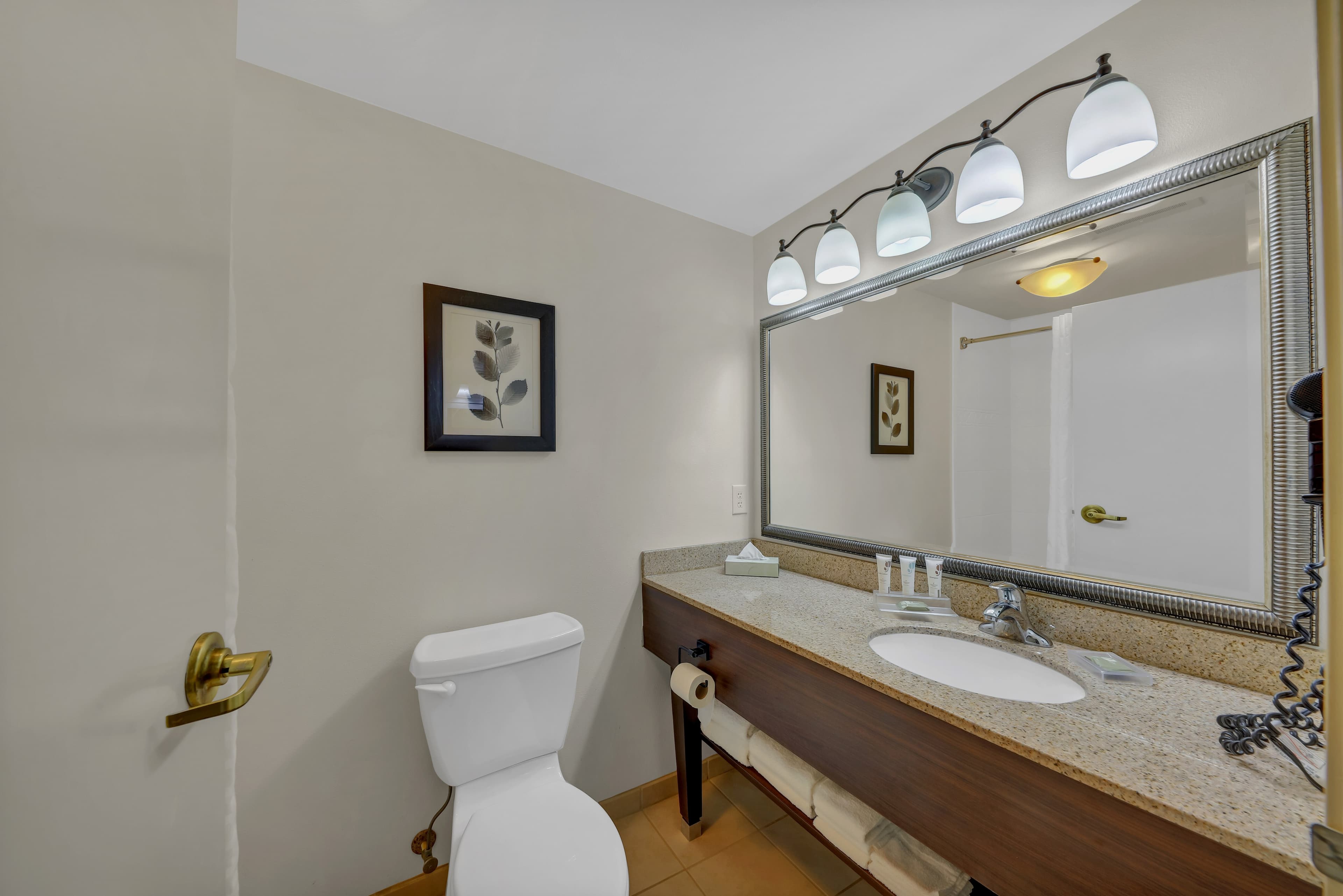 Country Inn & Suites by Radisson, Braselton - Image 3