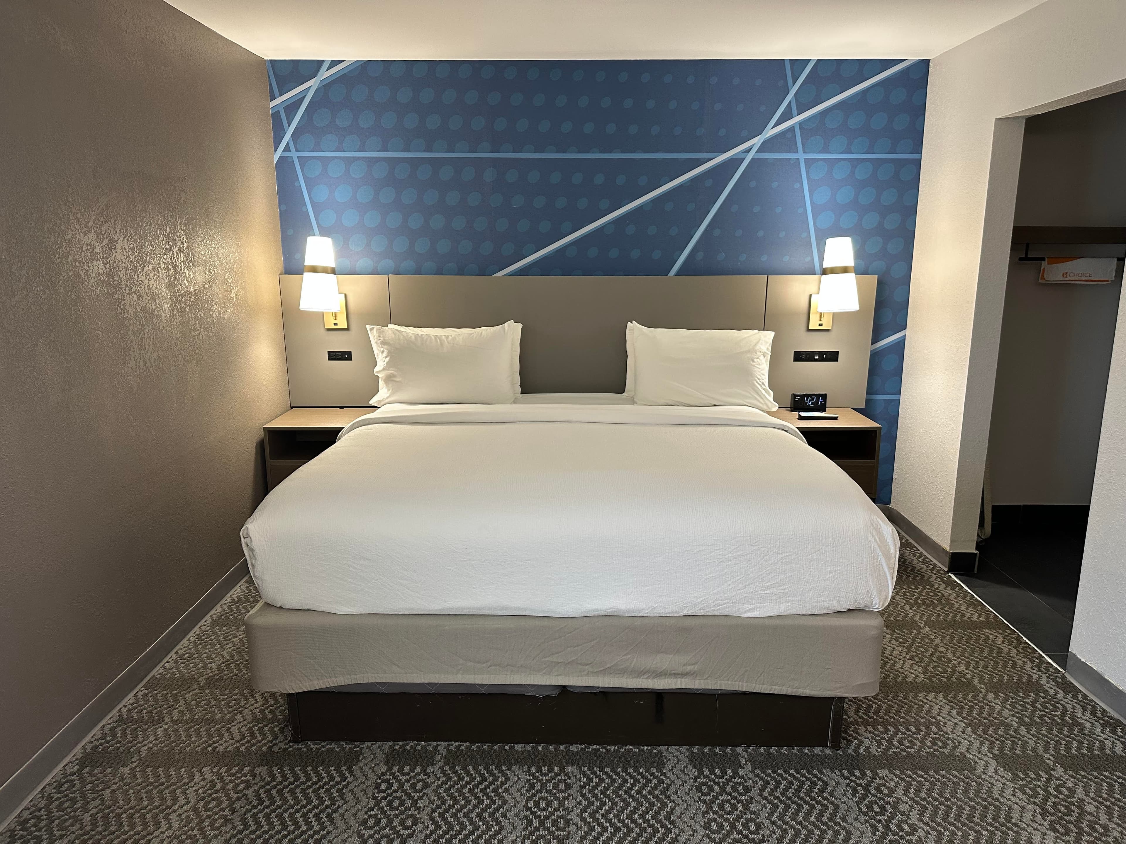 Comfort Inn & Suites Savannah Airport - Image 2