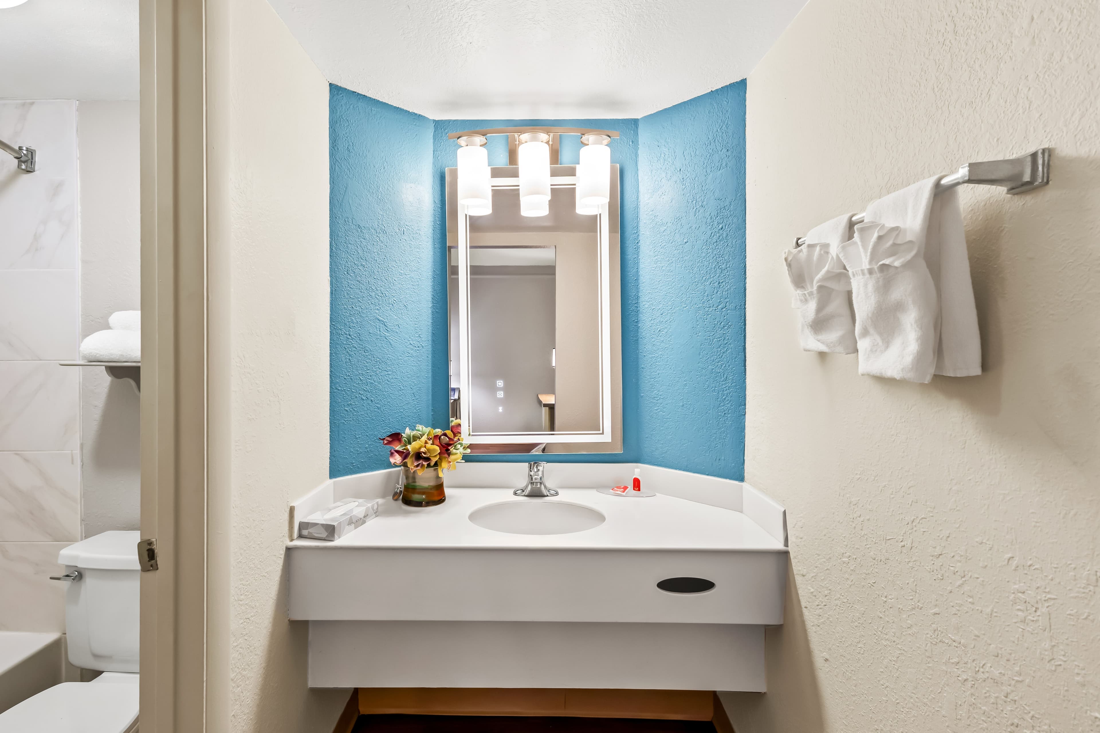 Econo Lodge Augusta North - Washington Road — 10