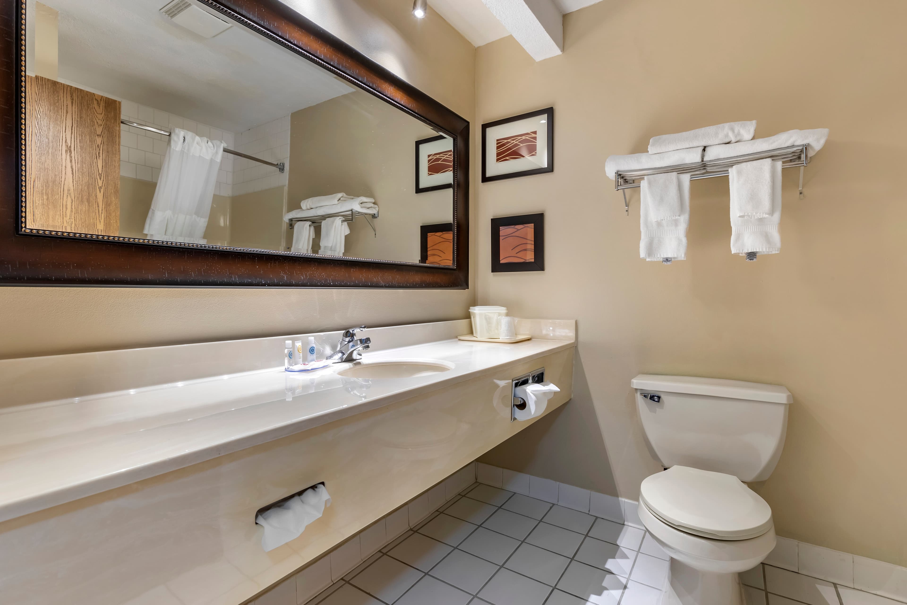 Comfort Inn Muscatine near Hwy 61 - Image 5