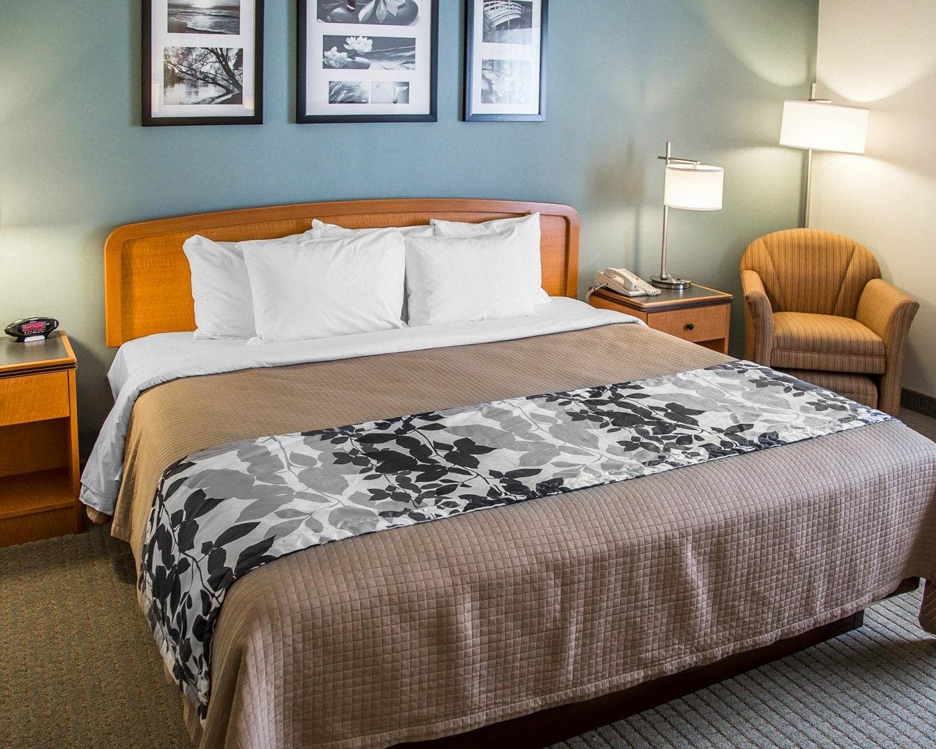 Sleep Inn & Suites Davenport - Quad Cities - Image 5