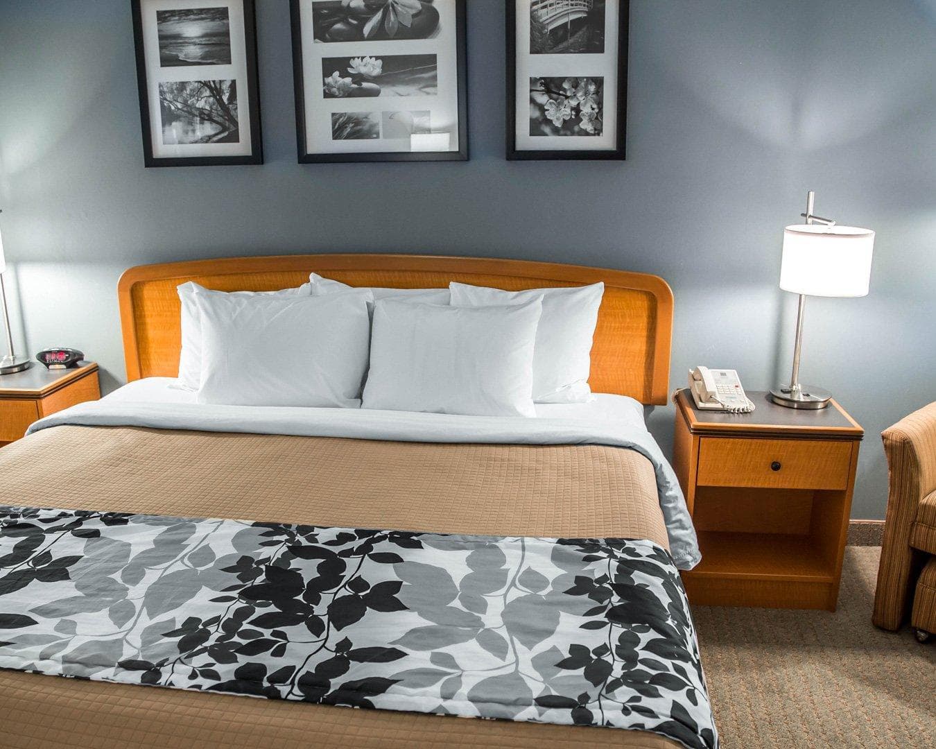 Sleep Inn & Suites Davenport - Quad Cities — 7