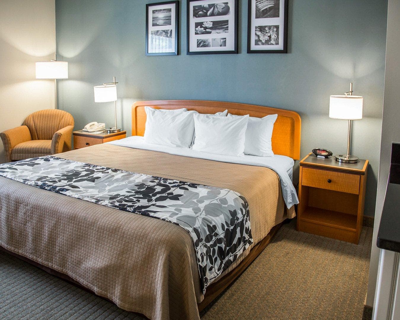 Sleep Inn & Suites Davenport - Quad Cities - Image 2