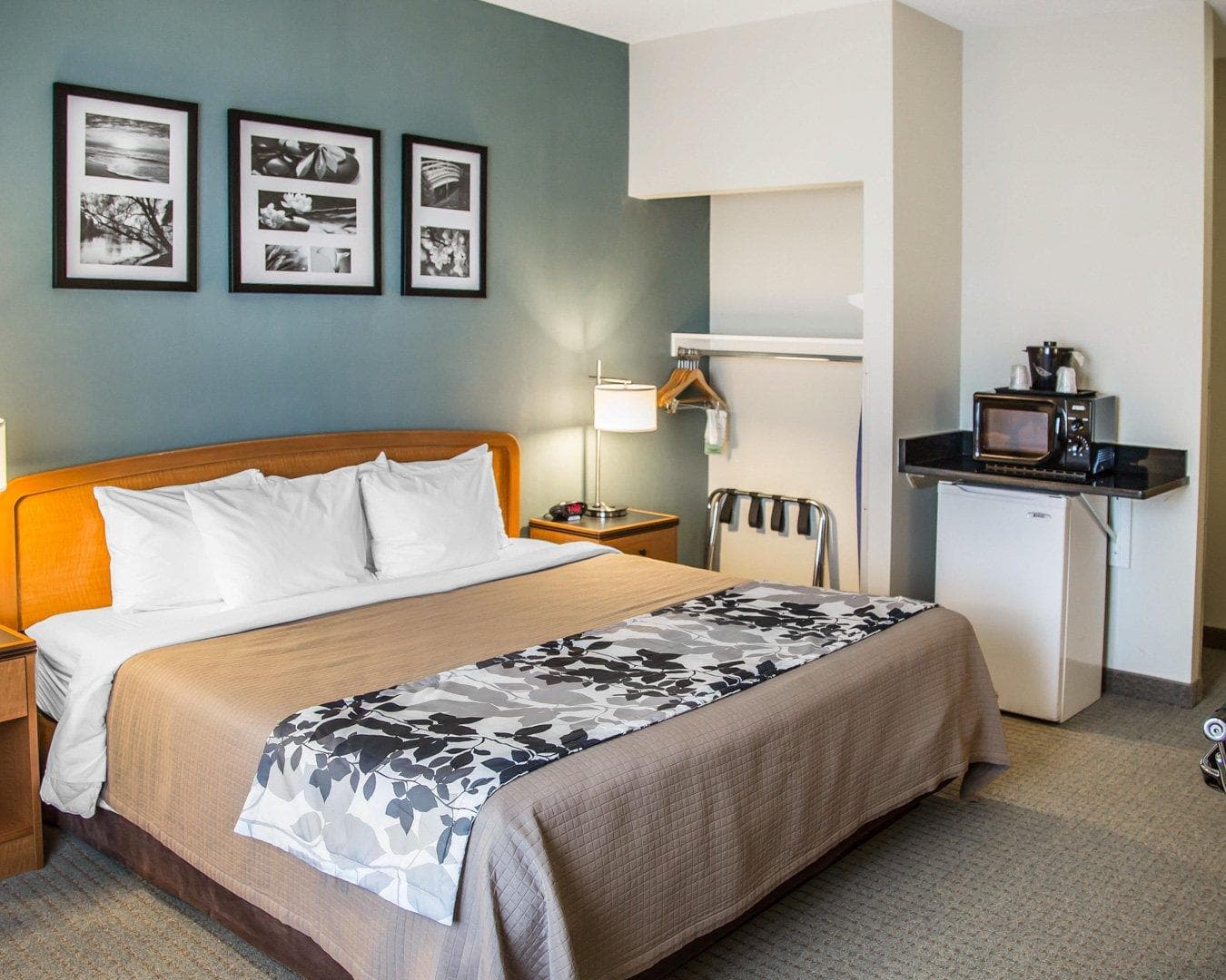 Sleep Inn & Suites Davenport - Quad Cities - Image 3