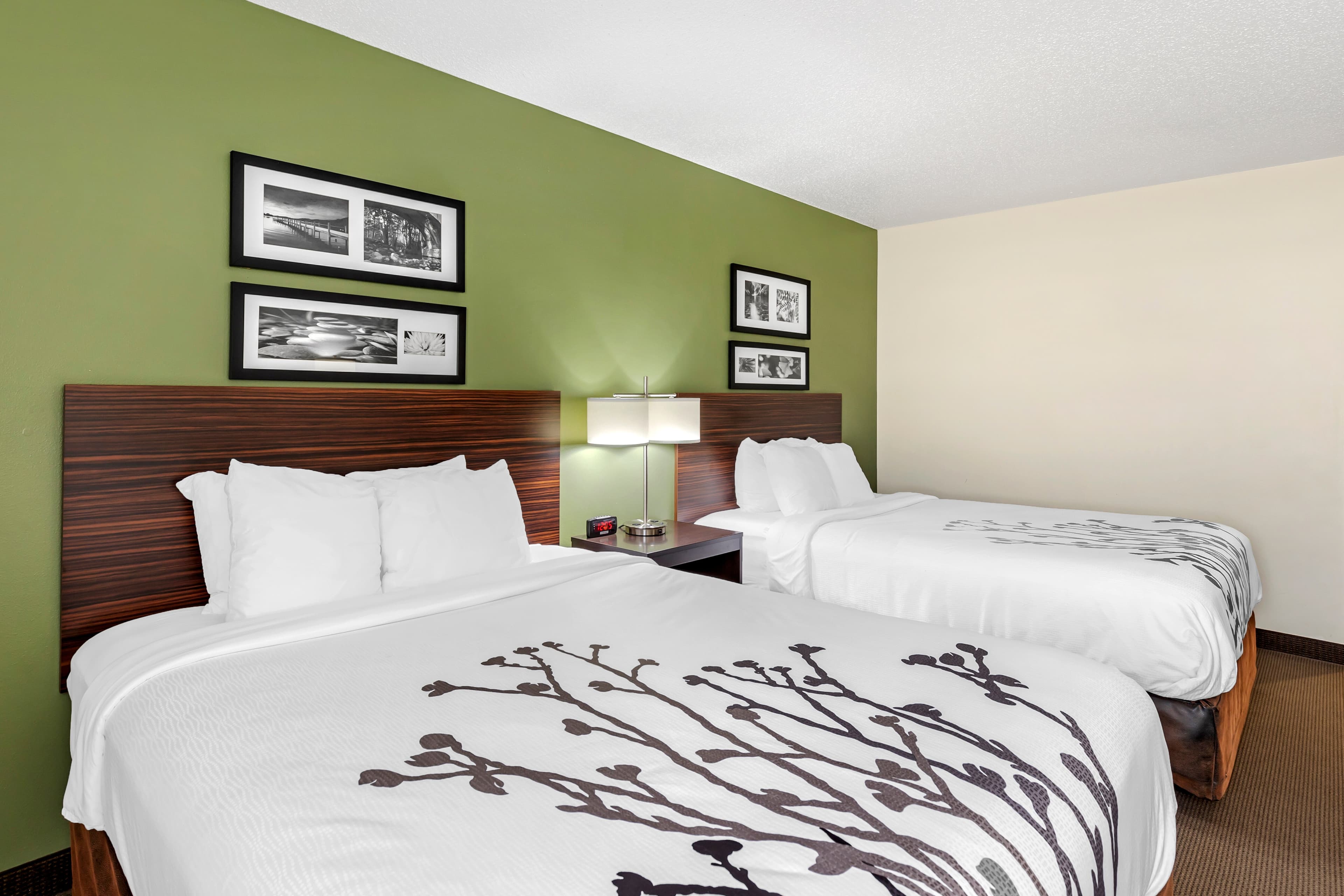 Sleep Inn & Suites Charles City - Image 4
