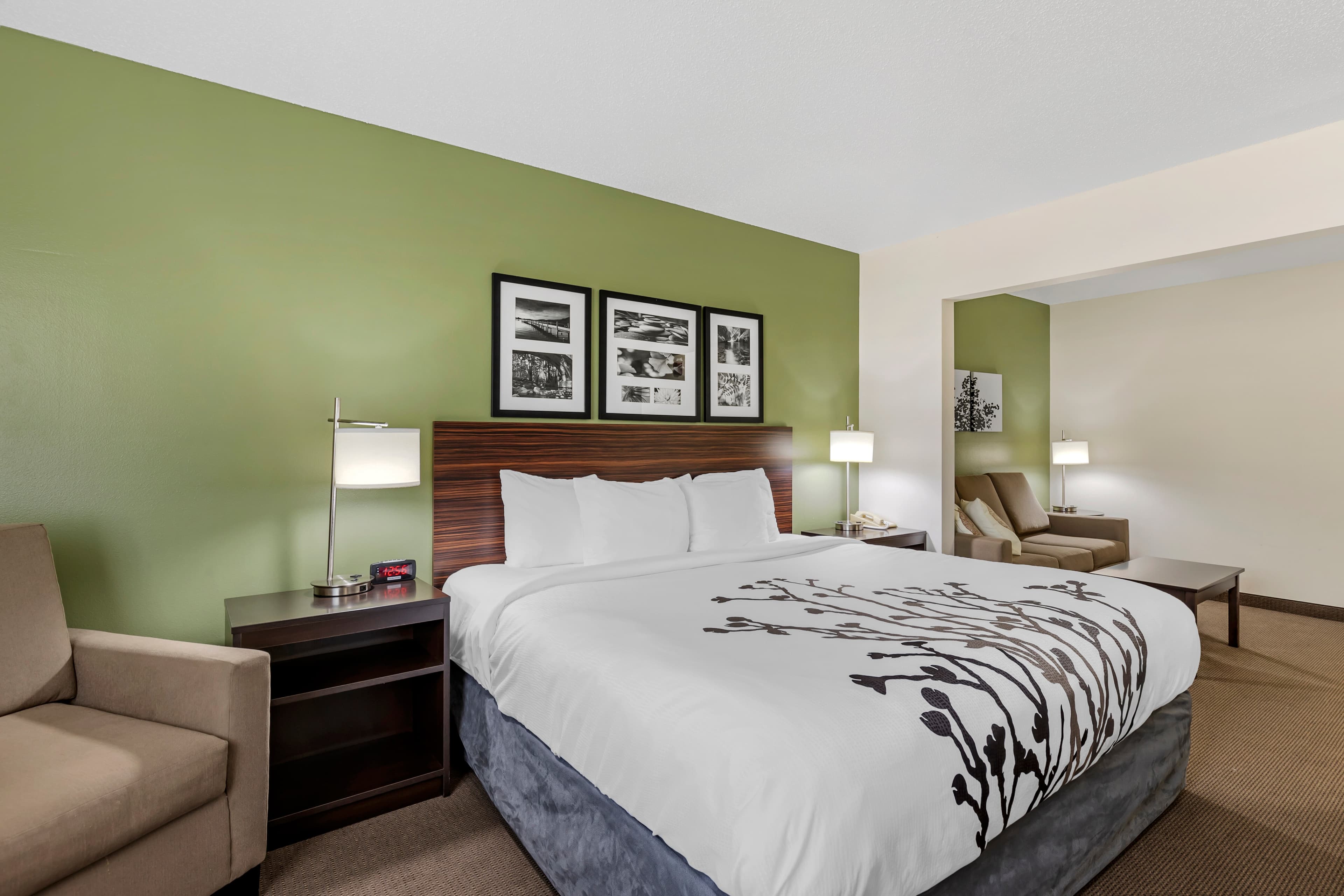 Sleep Inn & Suites Charles City — 19