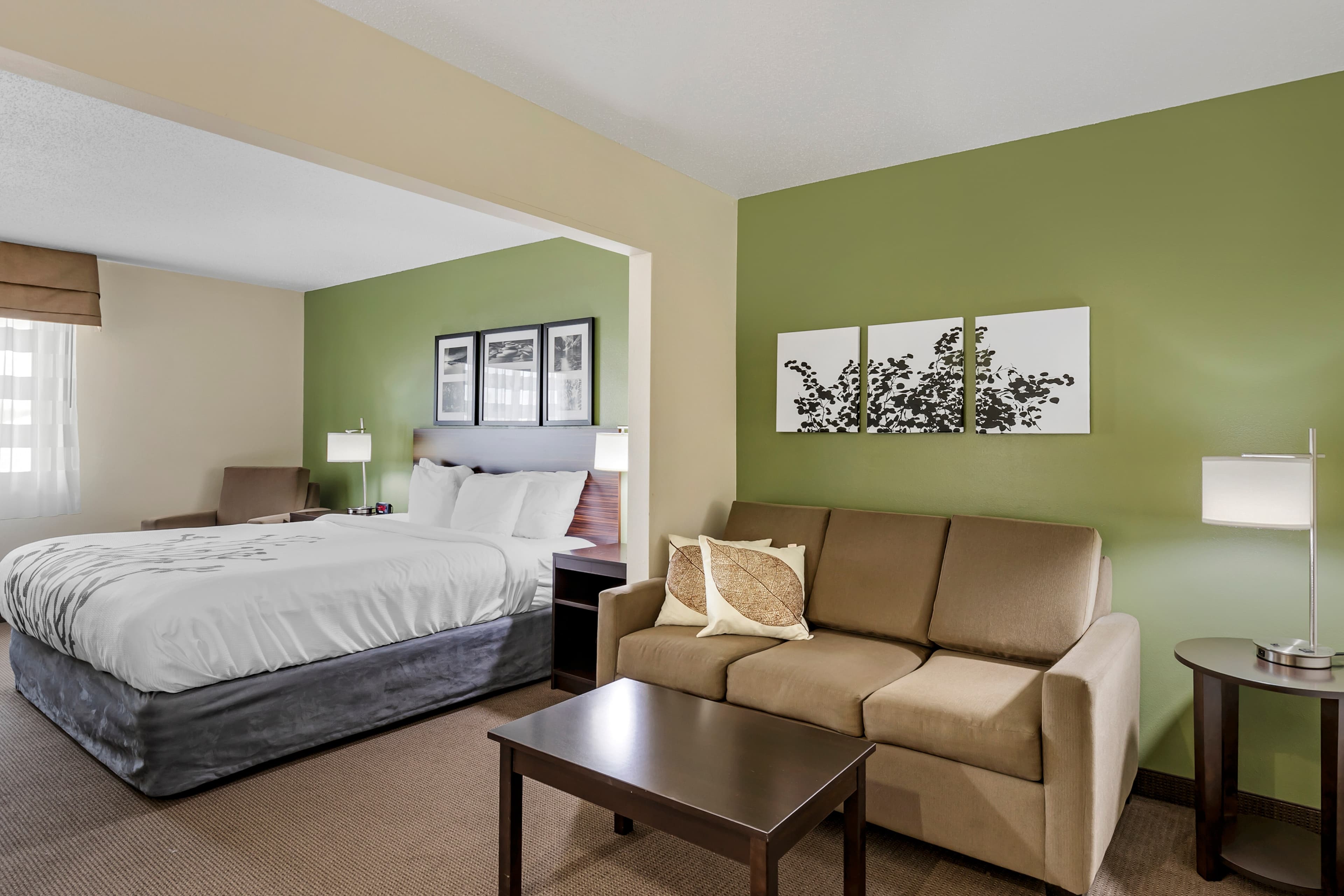 Sleep Inn & Suites Charles City — 20