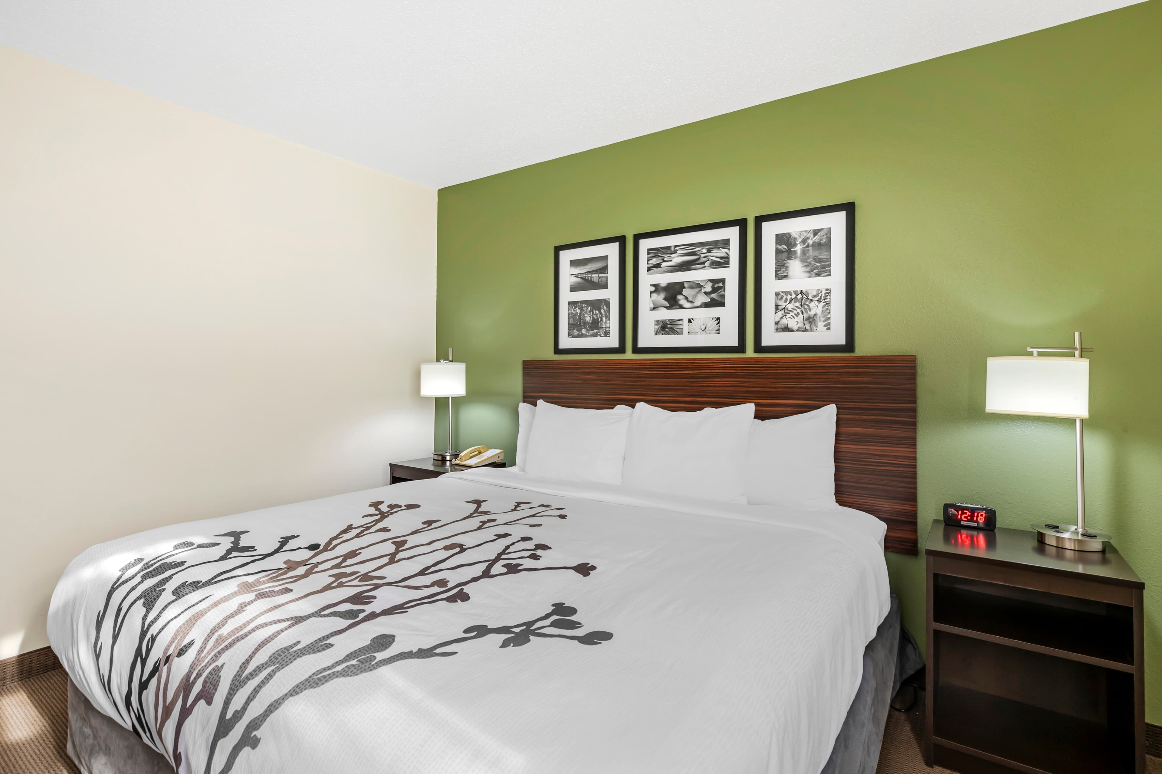 Sleep Inn & Suites Charles City - Image 2
