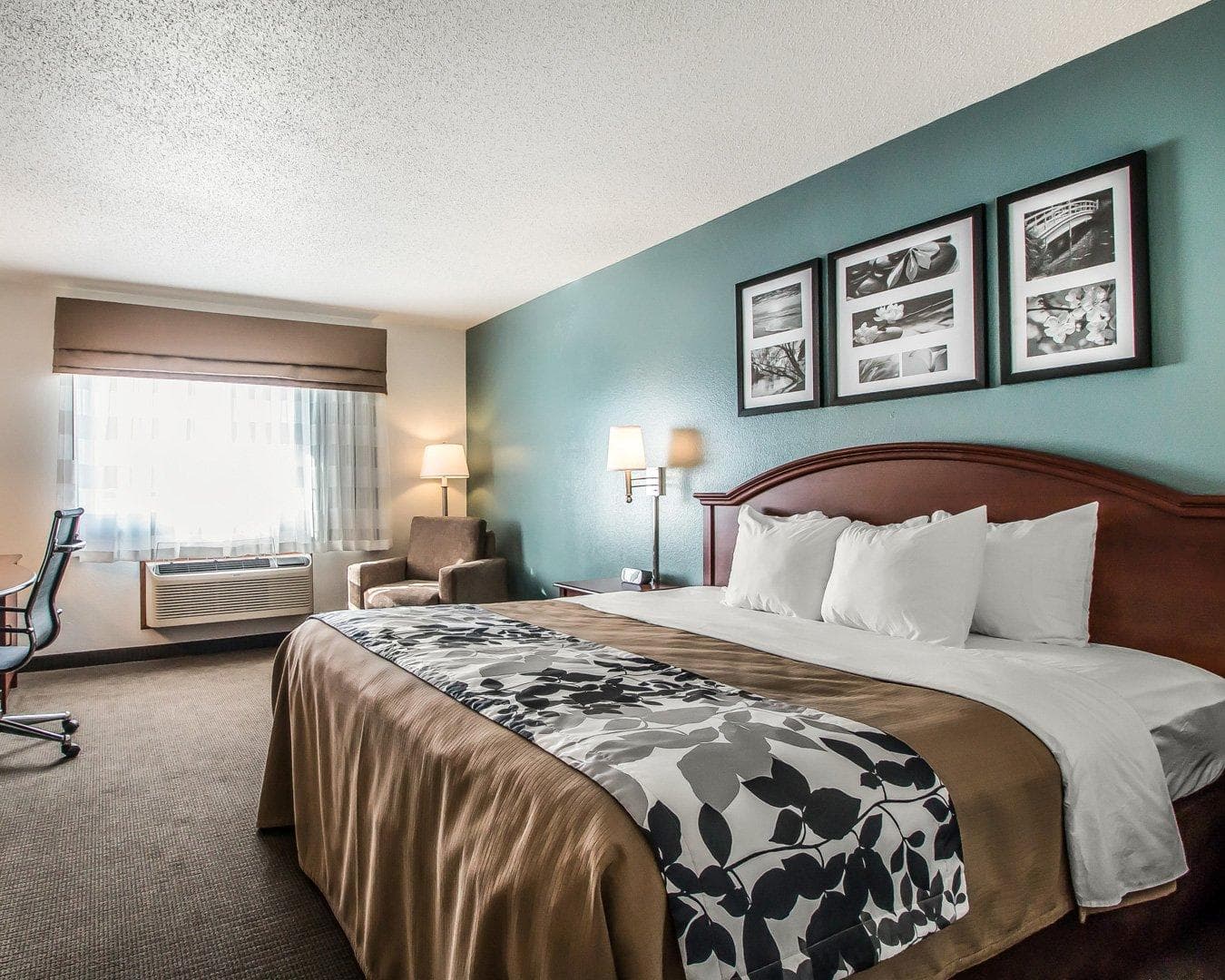 Sleep Inn & Suites Mount Vernon — 14