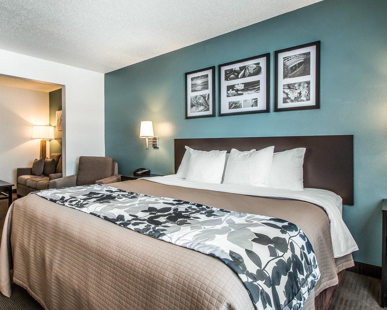 Sleep Inn & Suites Mount Vernon — 8