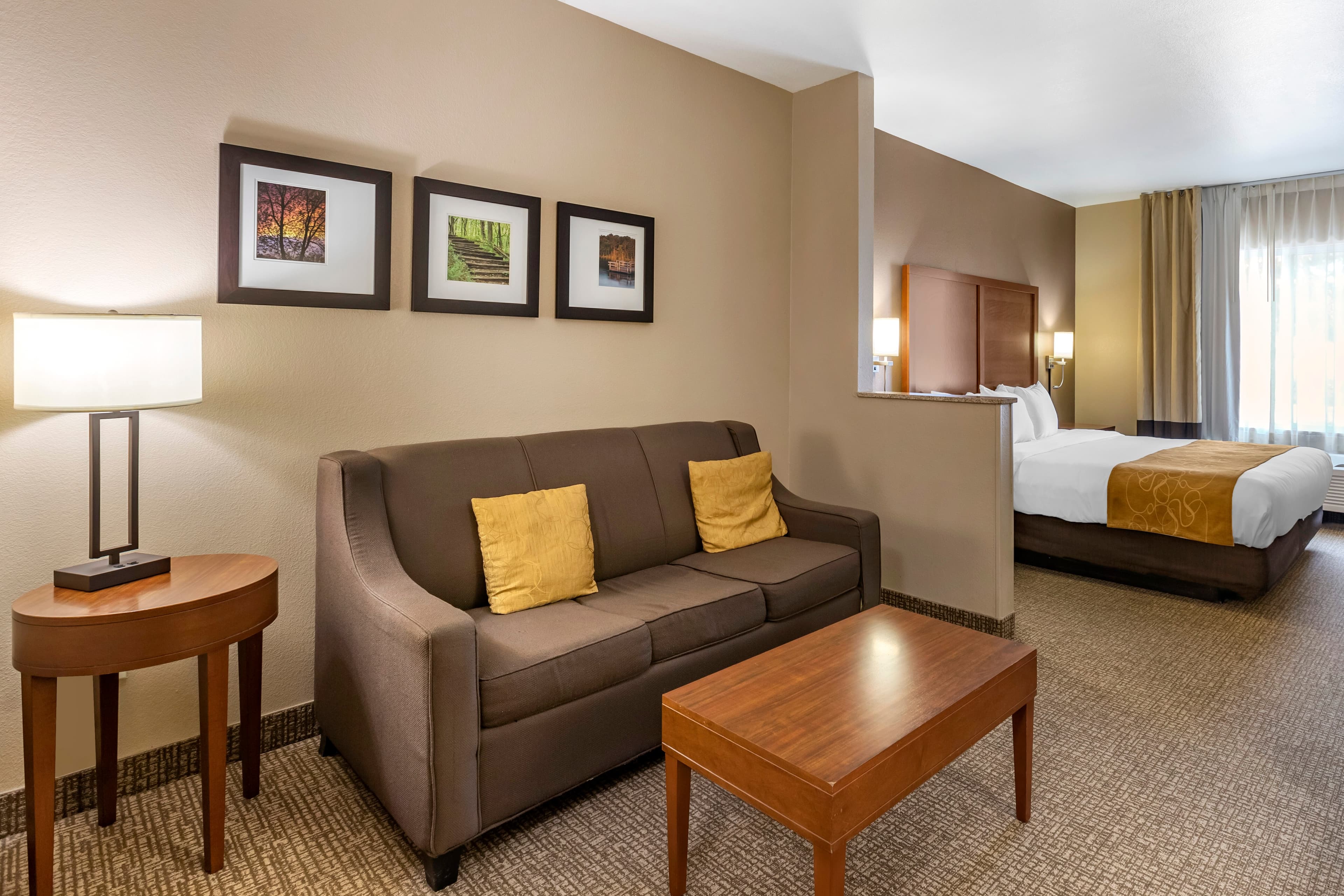Comfort Suites Coralville I-80 - Image 2