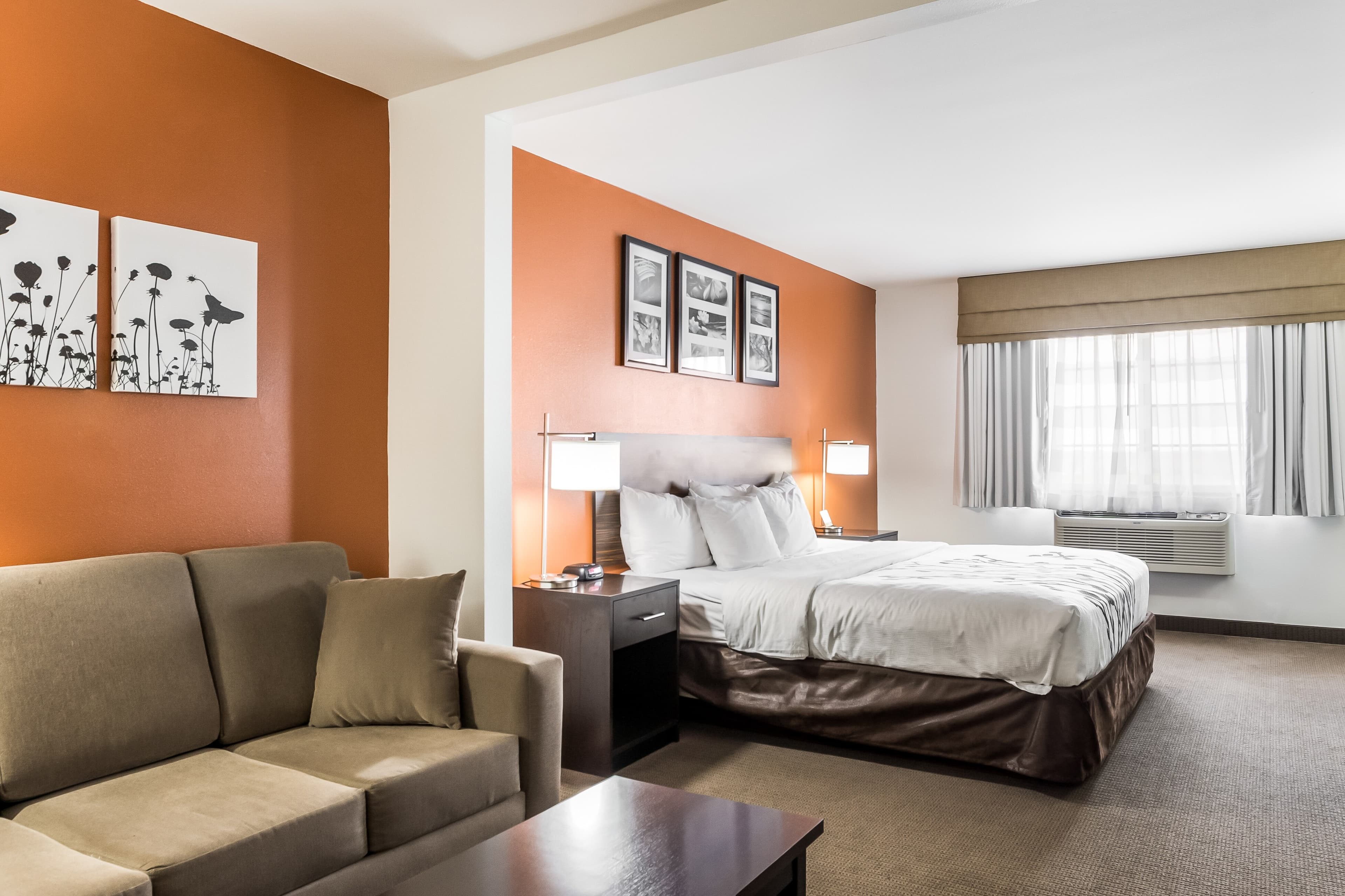 Sleep Inn & Suites North Liberty - Liberty City — 13