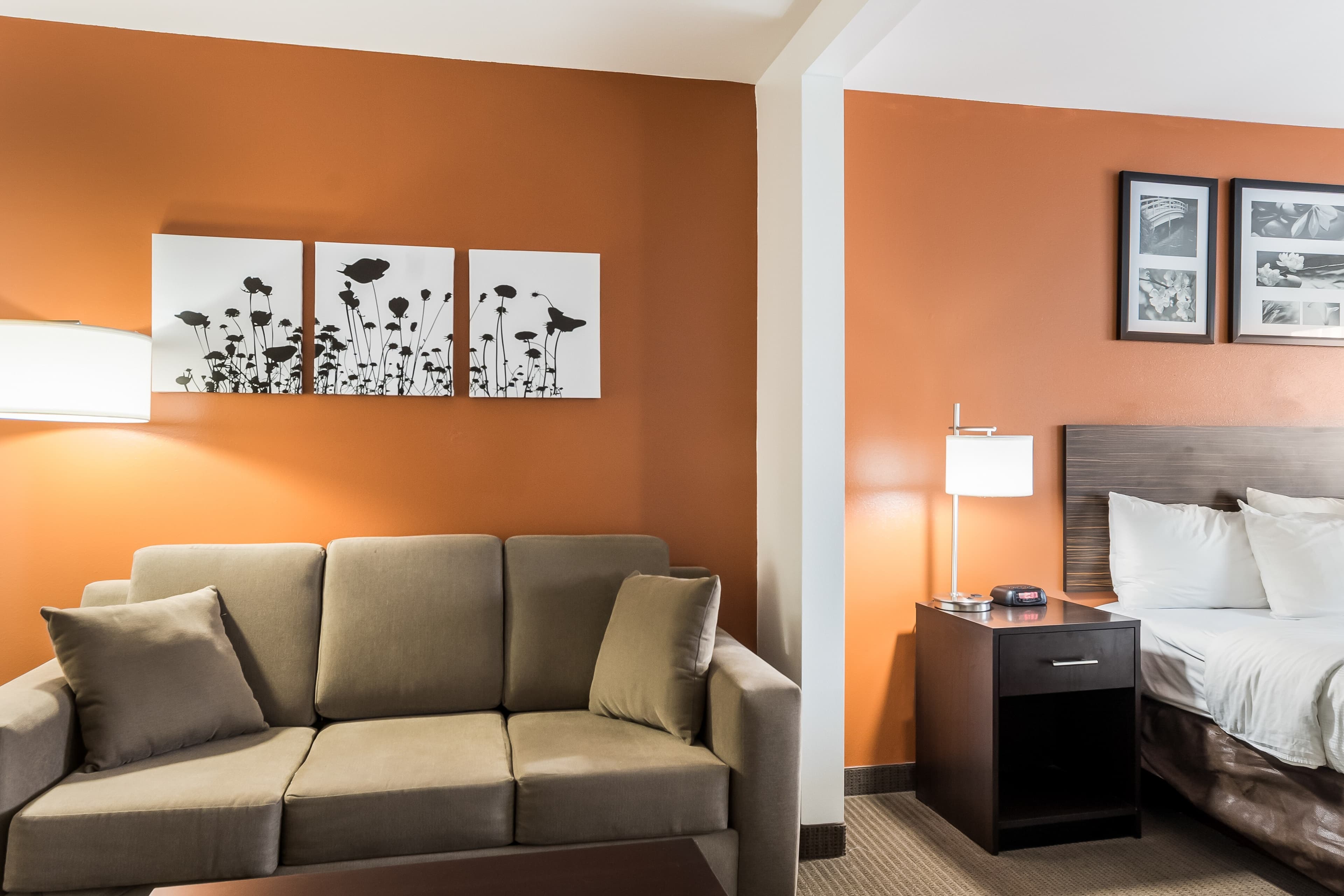 Sleep Inn & Suites North Liberty - Liberty City — 14