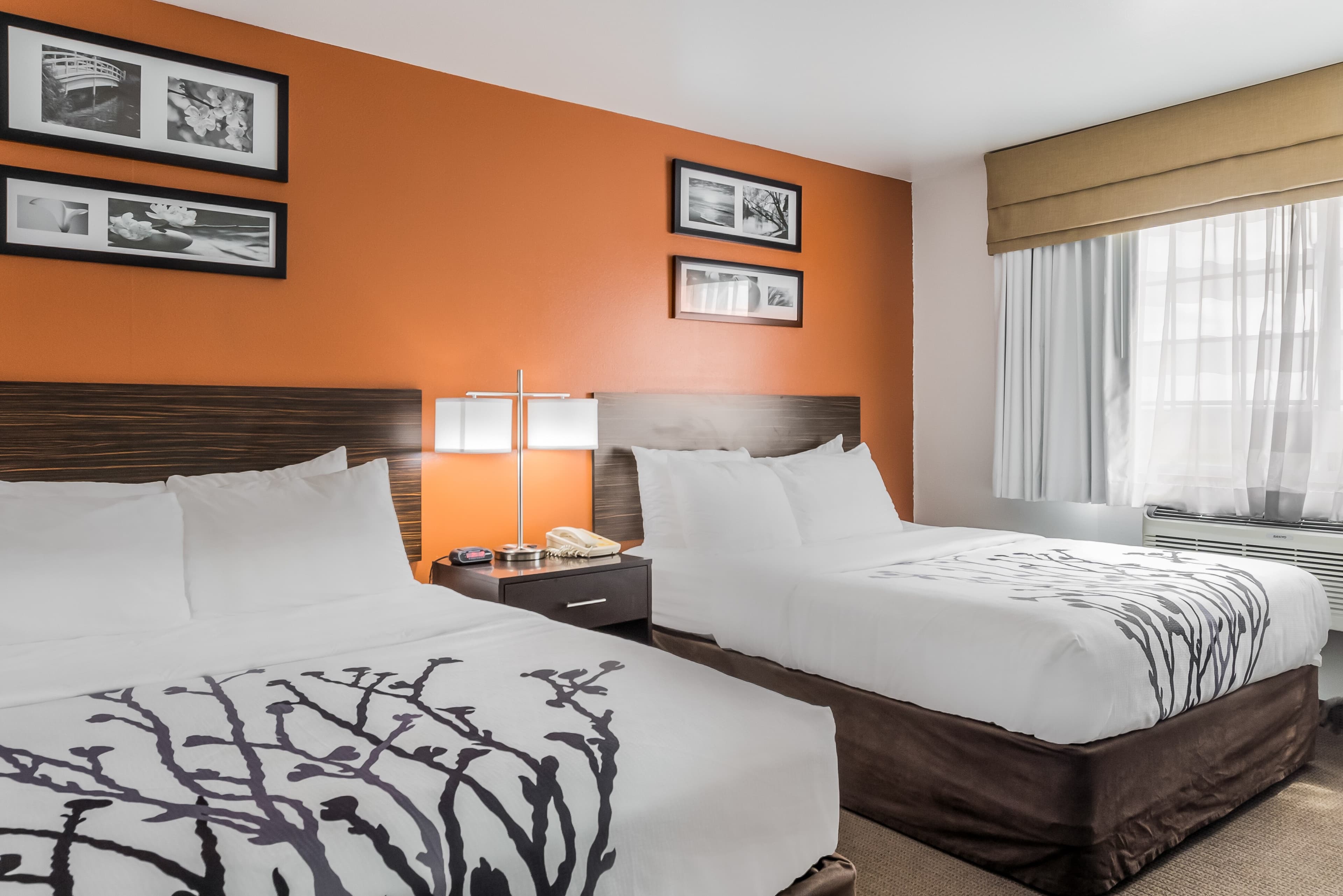 Sleep Inn & Suites North Liberty - Liberty City - Image 3