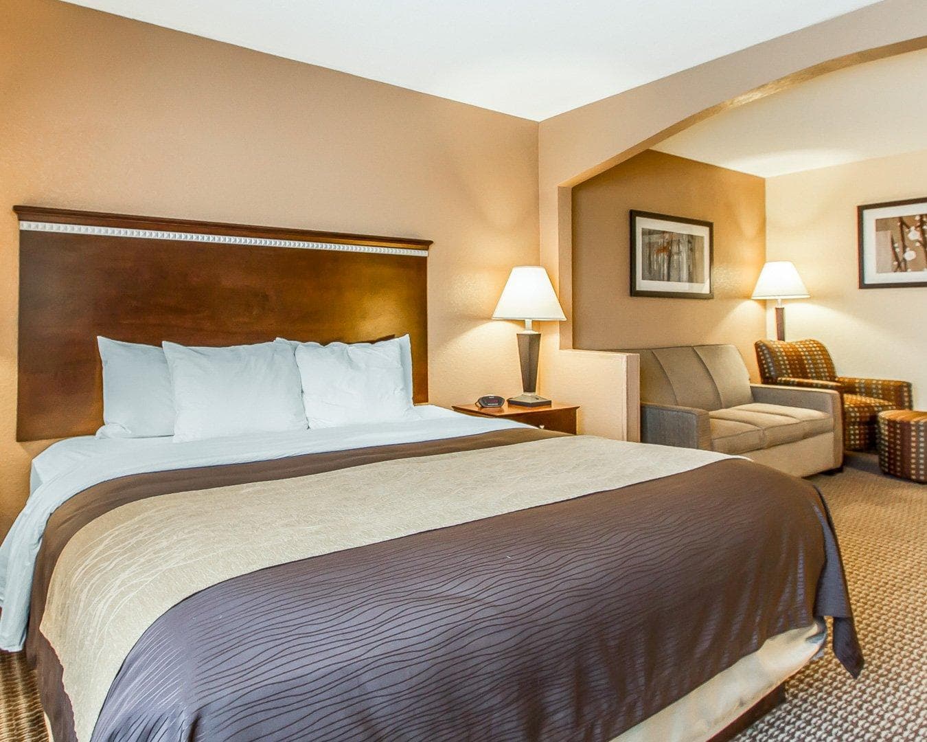 Quality Inn & Suites Mount Pleasant - Image 1