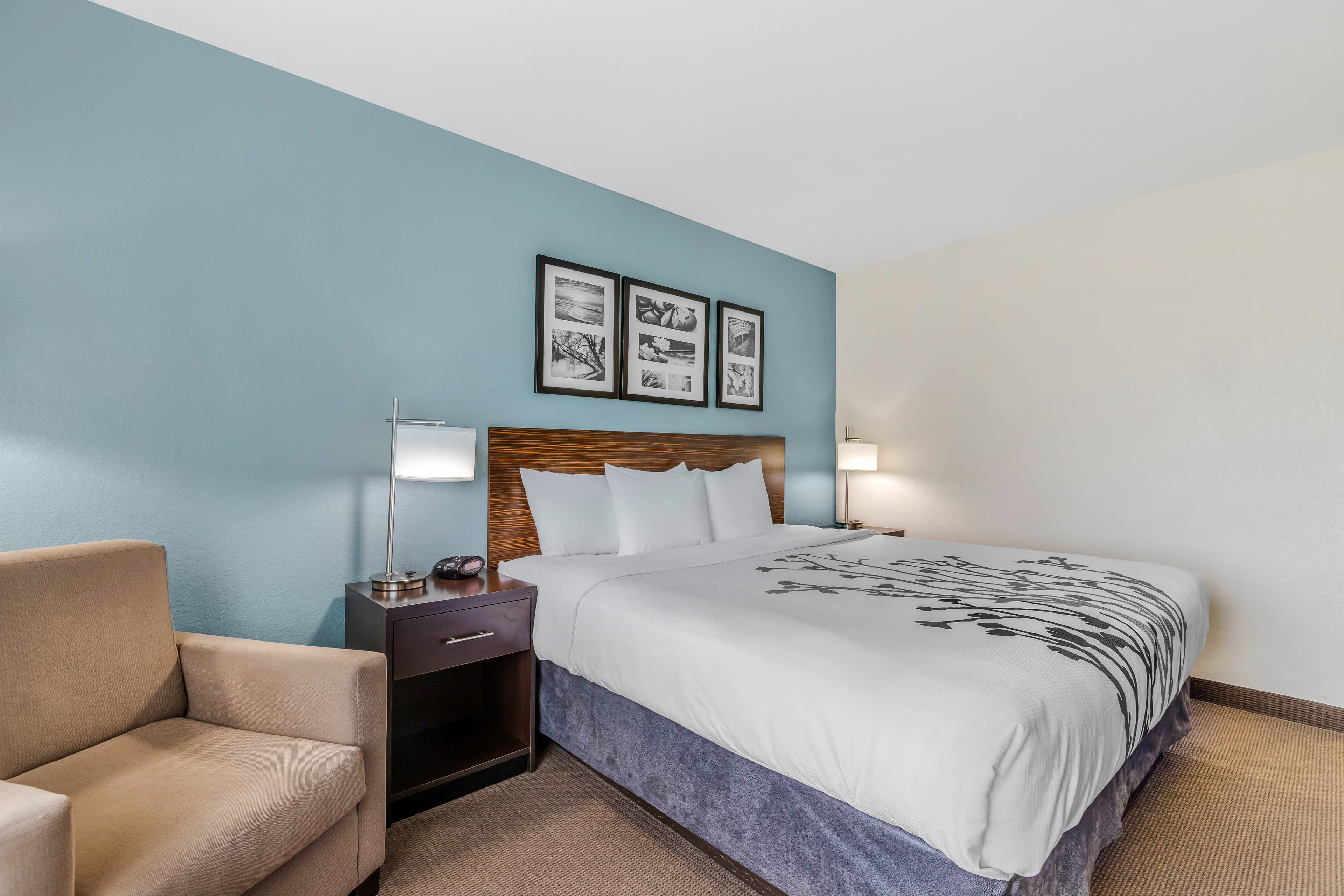 Sleep Inn & Suites Ames near ISU Campus - Image 2