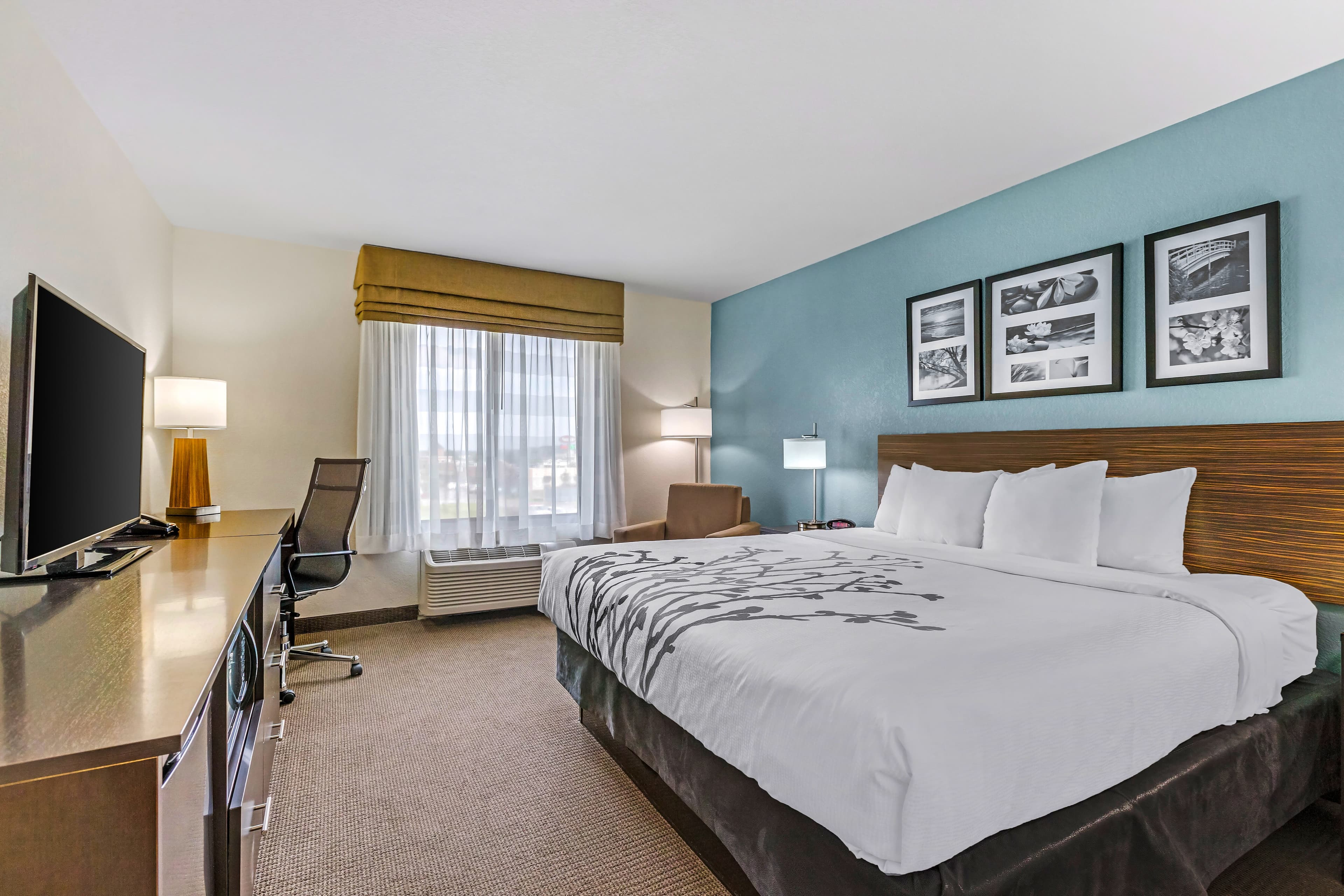 Sleep Inn & Suites Ames near ISU Campus - Image 4