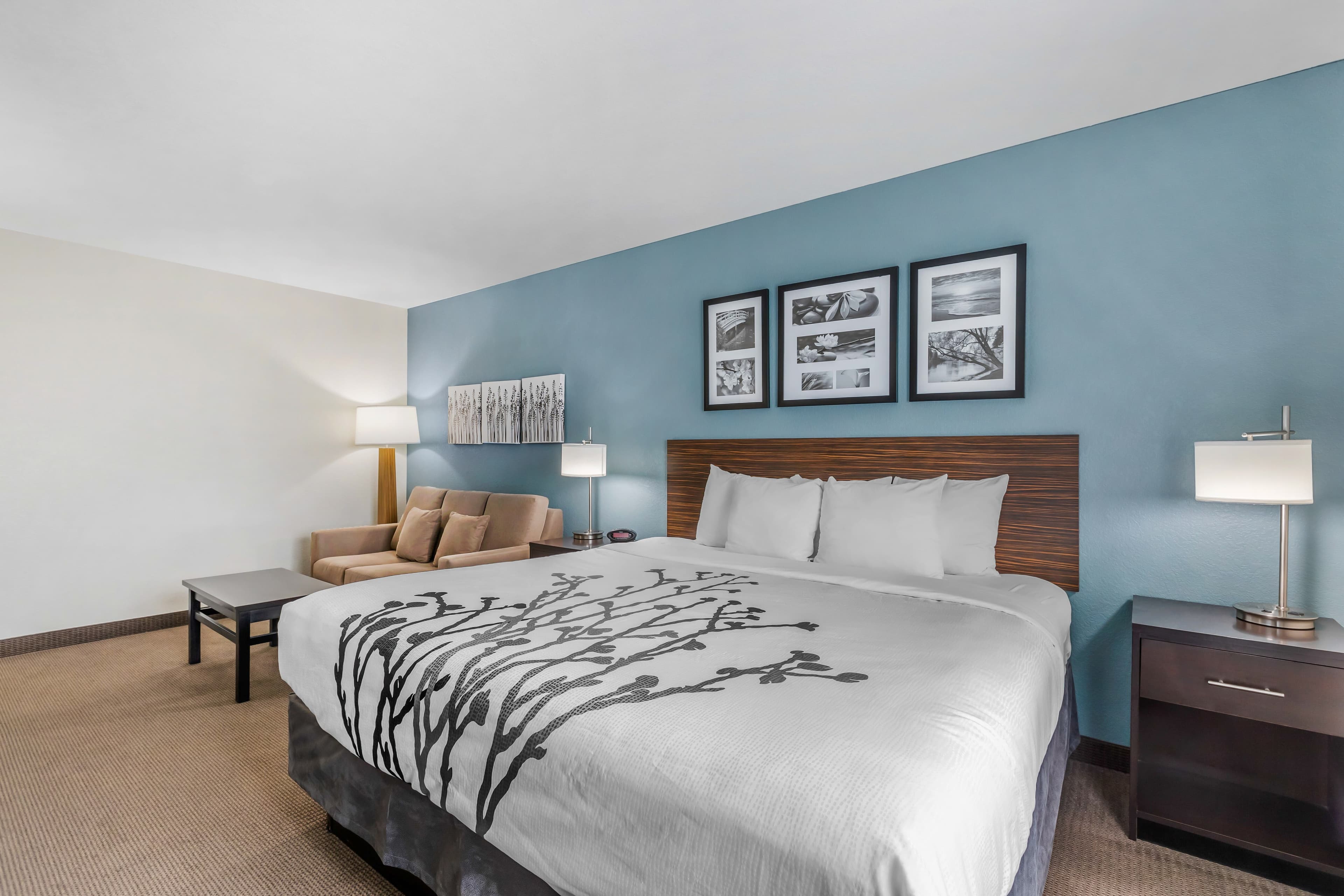 Sleep Inn & Suites Ames near ISU Campus - Image 1