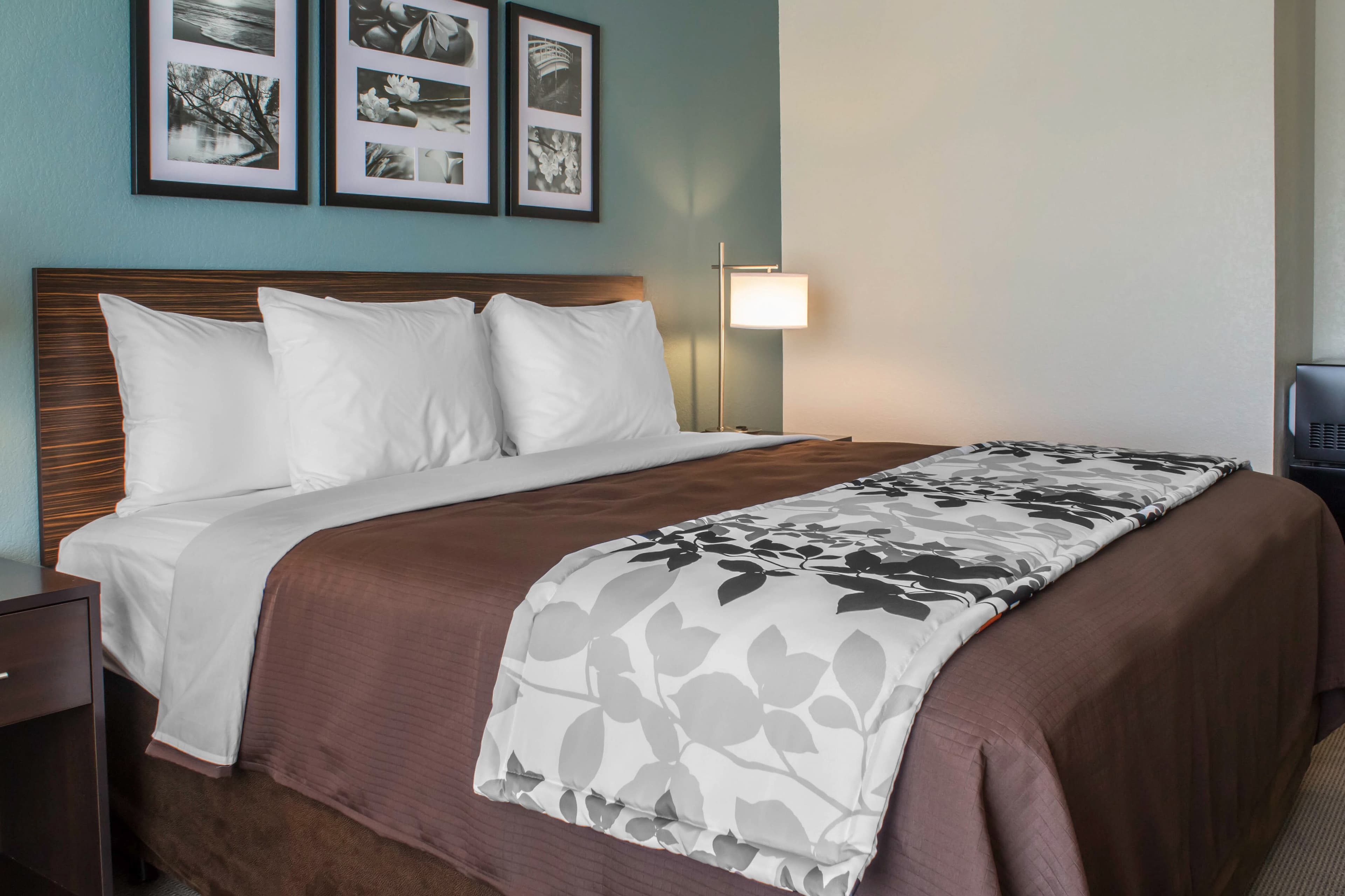 Sleep Inn & Suites Fort Dodge - Image 1