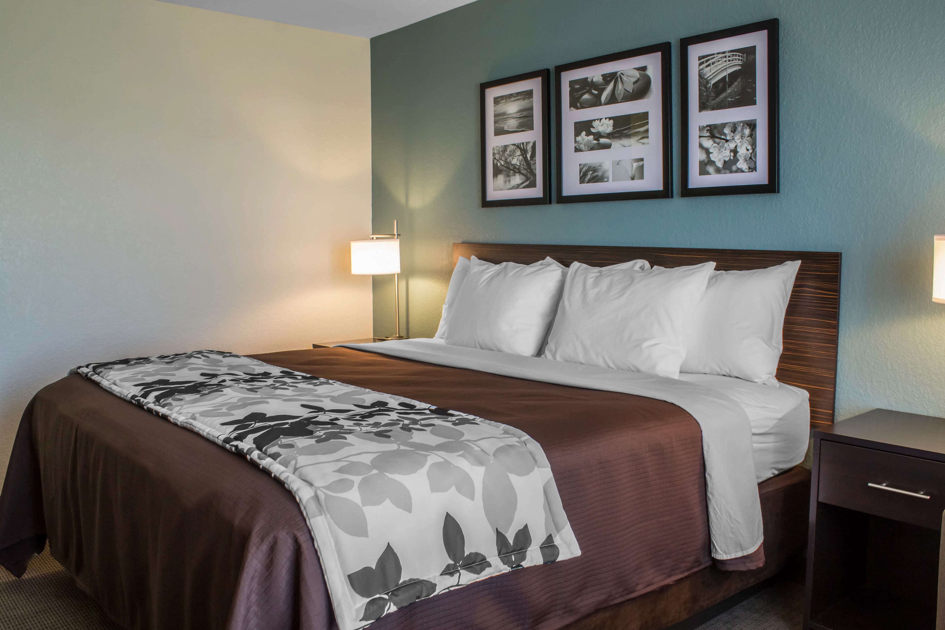 Sleep Inn & Suites Fort Dodge — 12